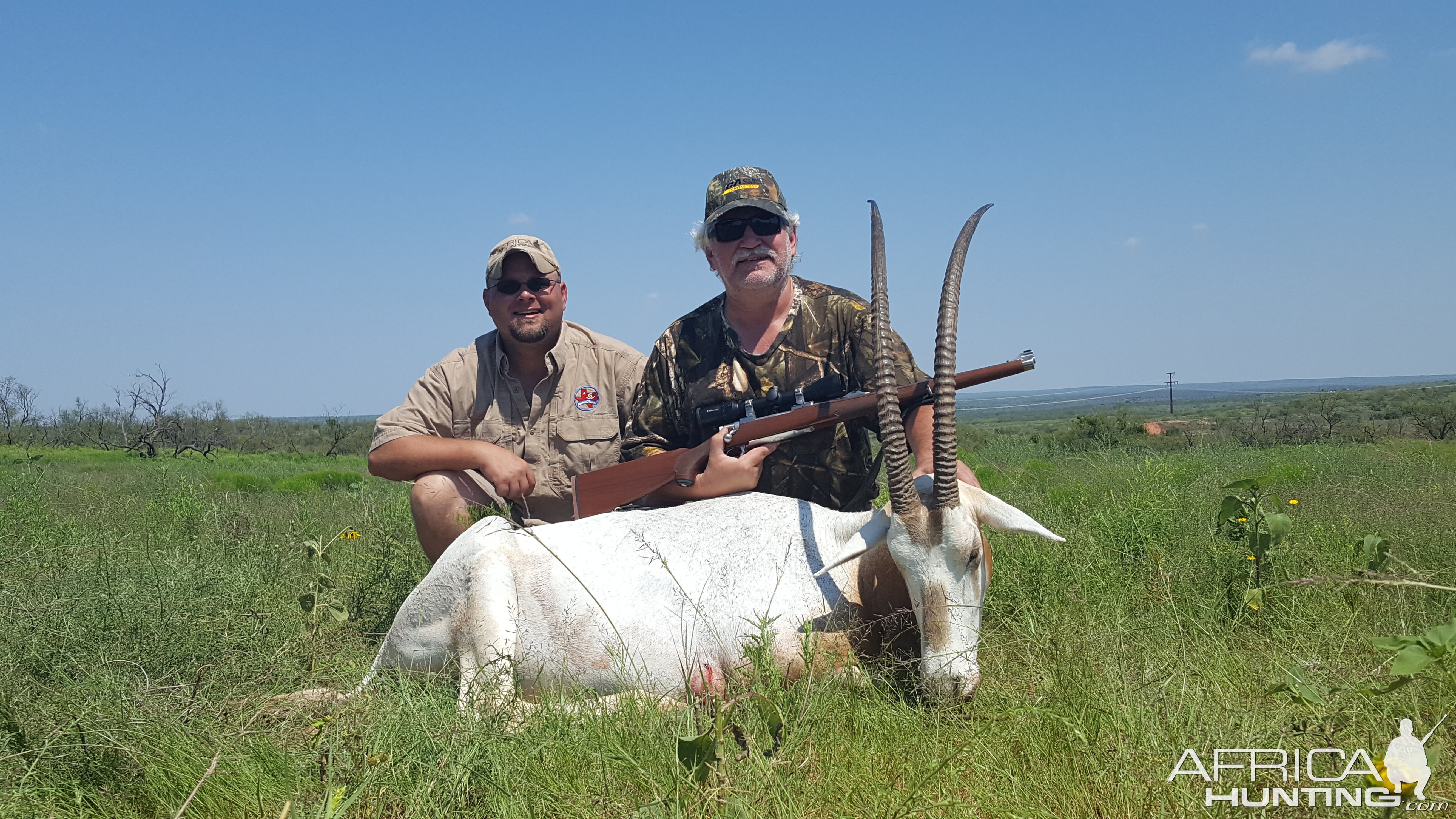 Scimitar Oryx Hunt