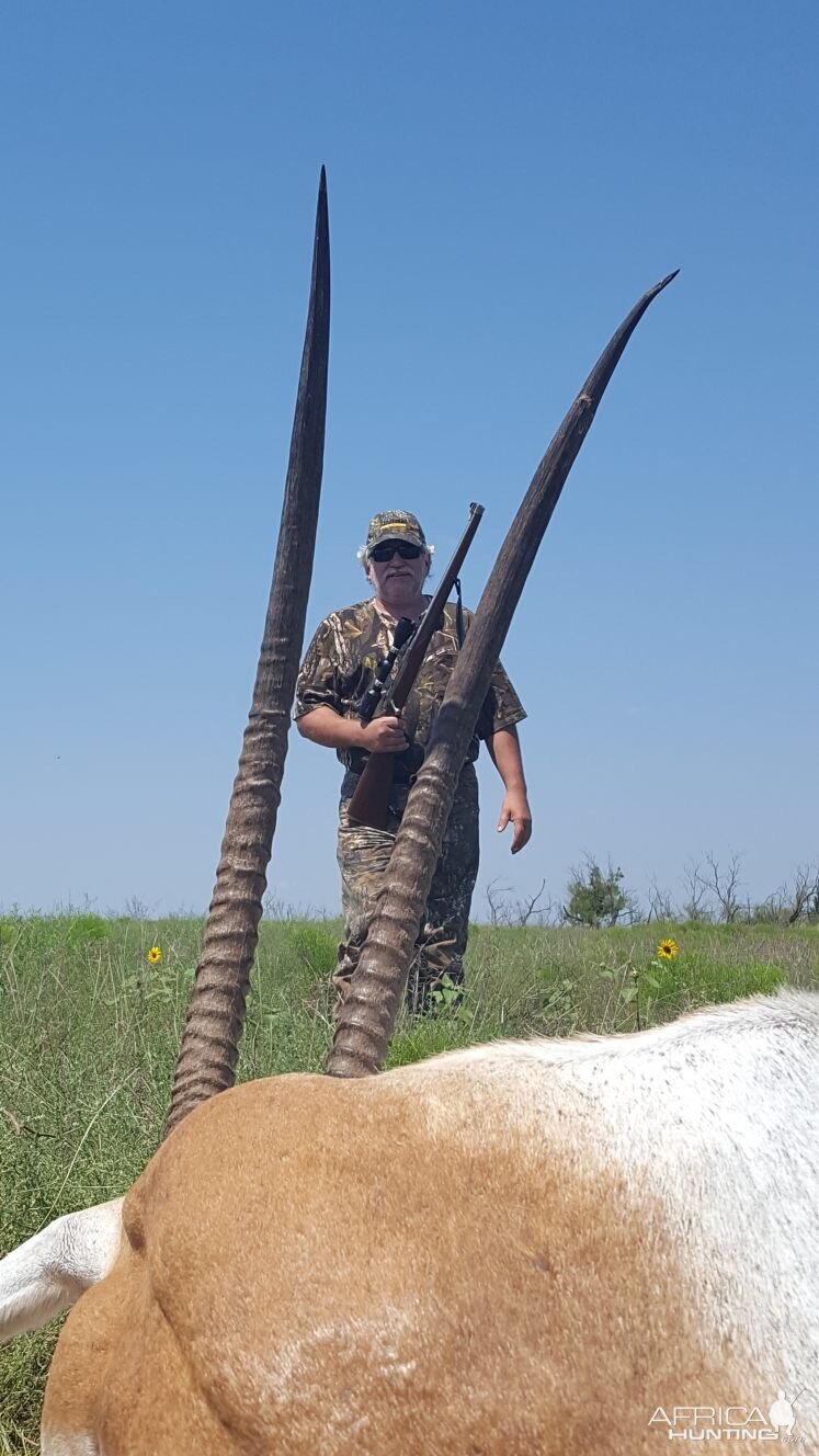 Scimitar Oryx Hunt