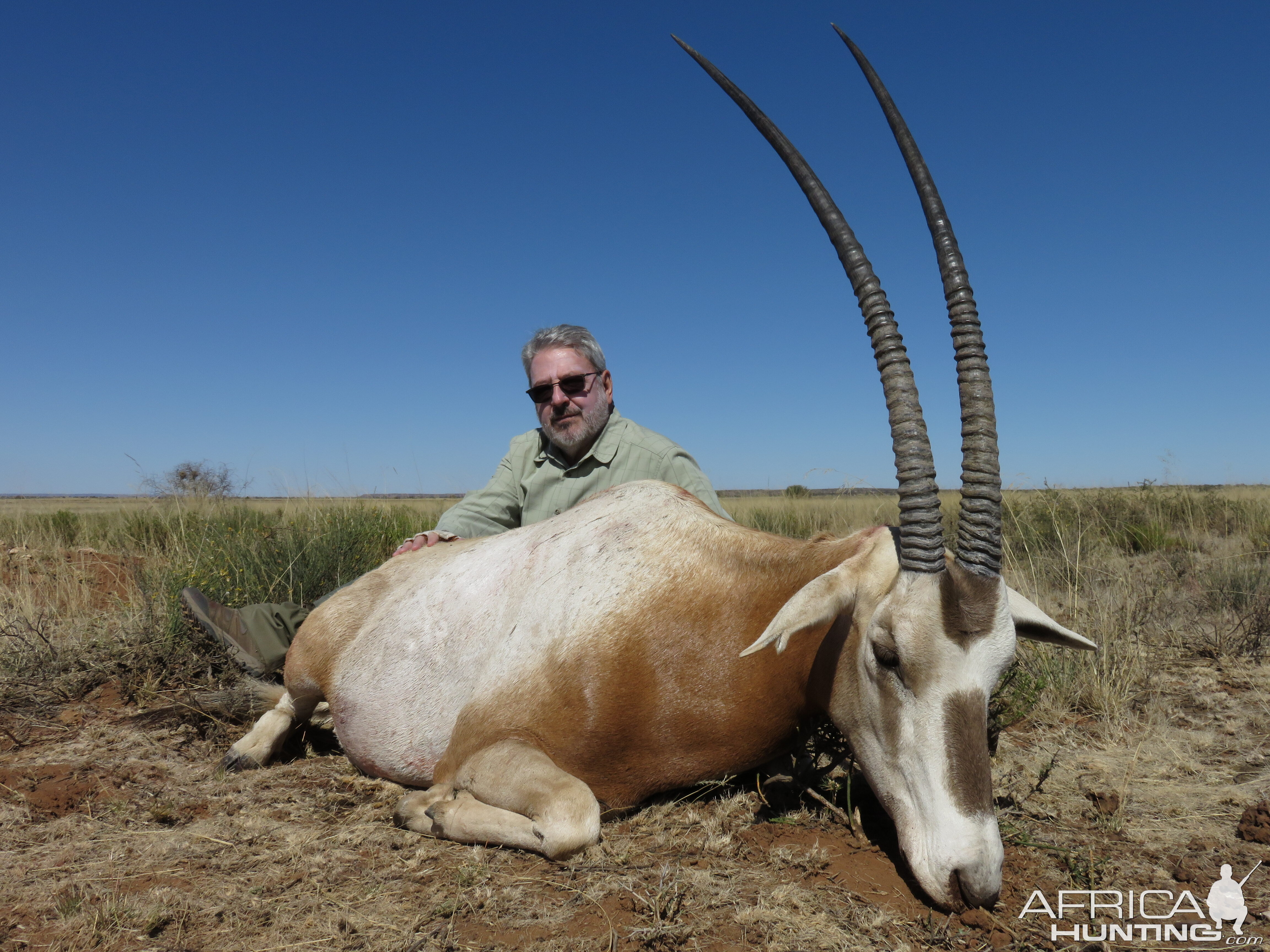 Scimitar Oryx Hunting in South Africa