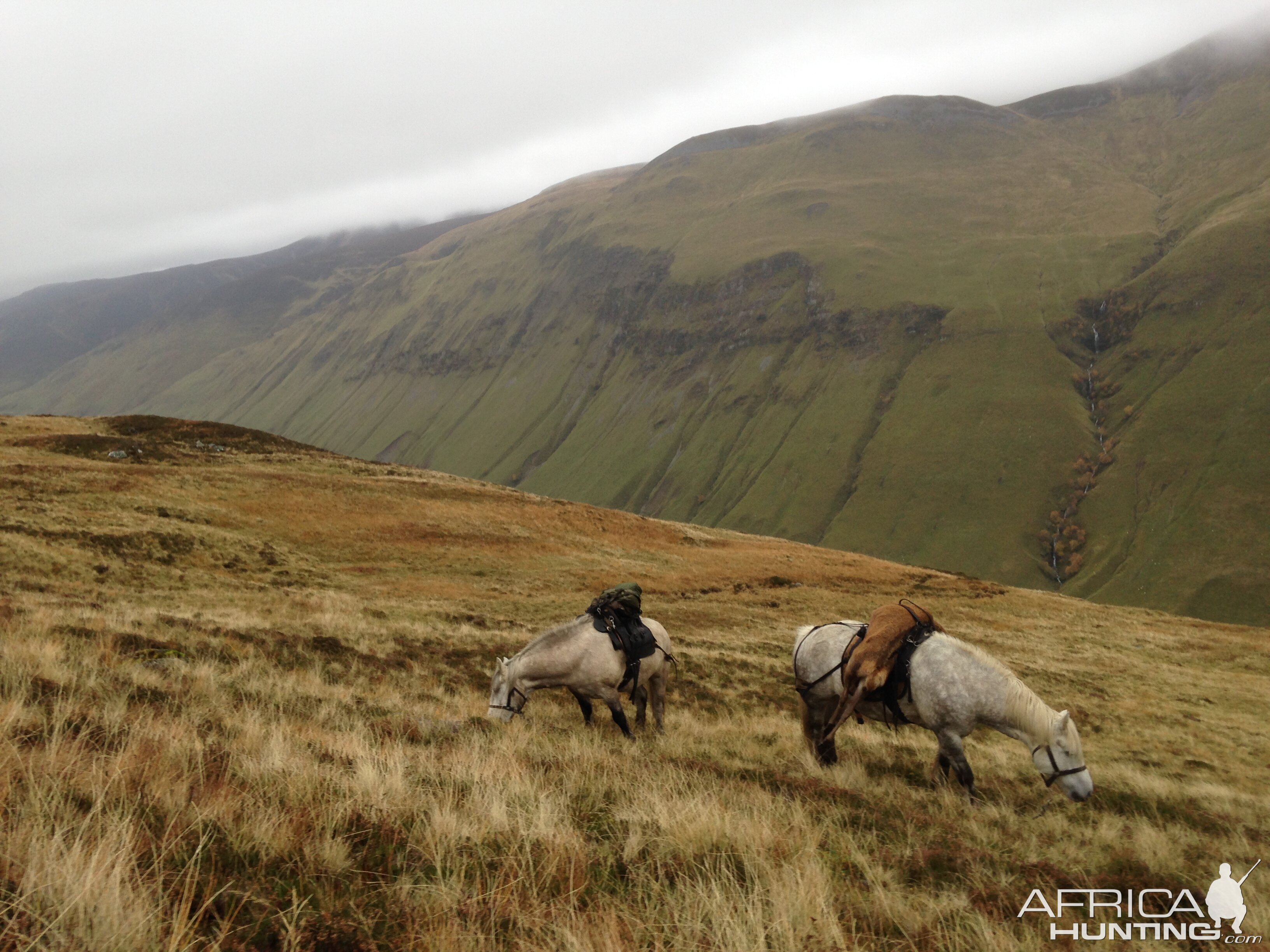 Scottish Highlands