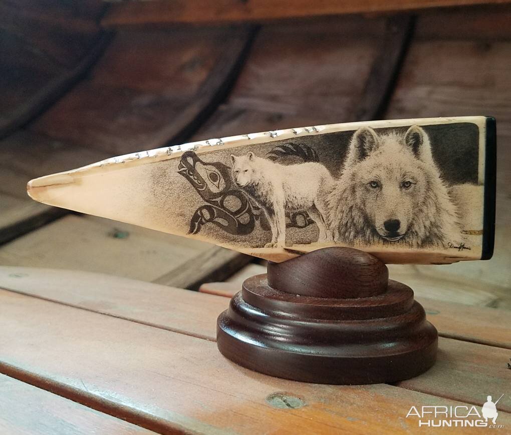 Scrimshaw Art of a Wolf