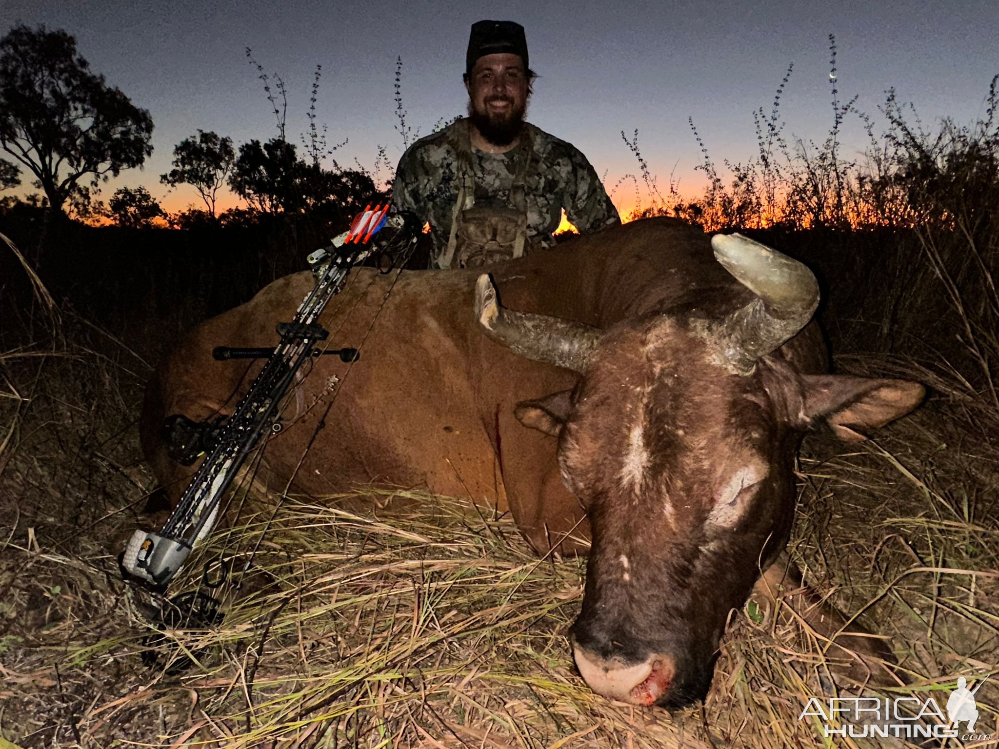 Scrub Bull Hunt Australia