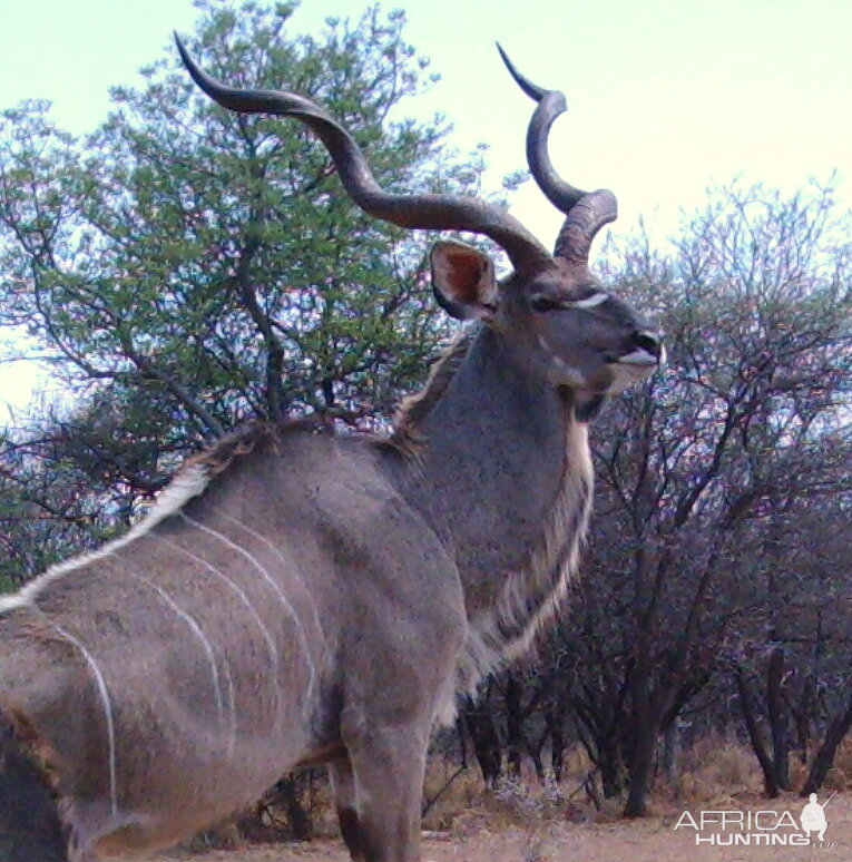 S'Dudla Game Cam Photos