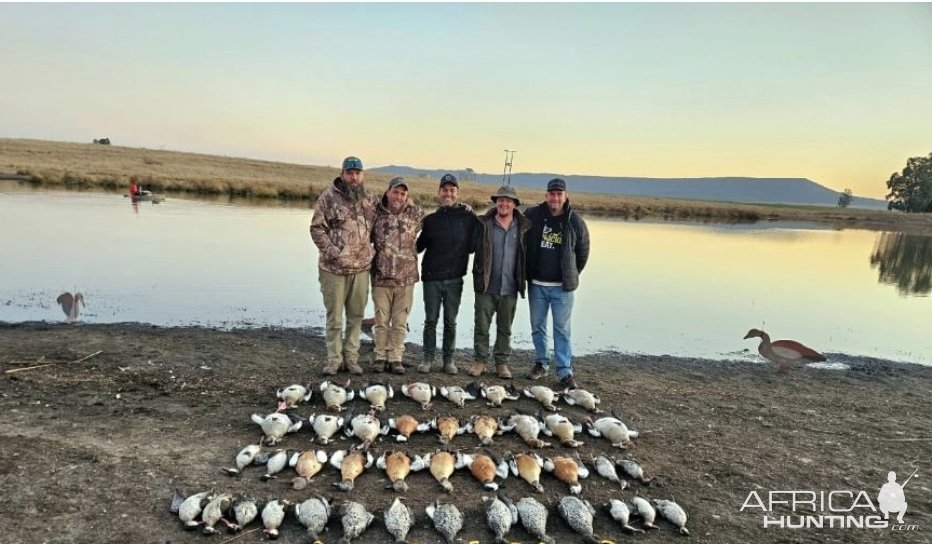 Season for Bird Hunting South Africa