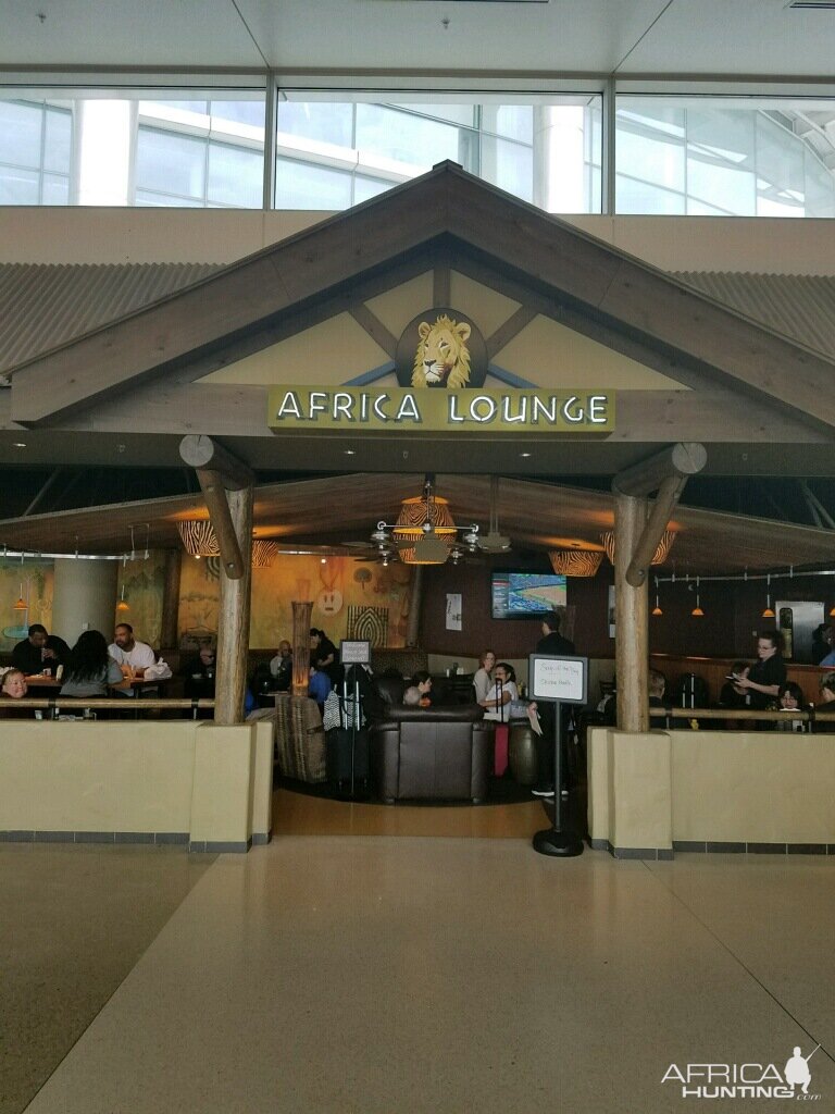 Seattle layover bar