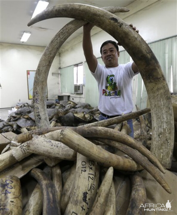 Seized Ivory