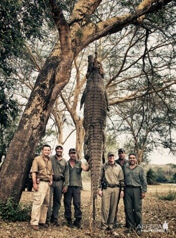 Selous - 14ft Crocodile Hunt