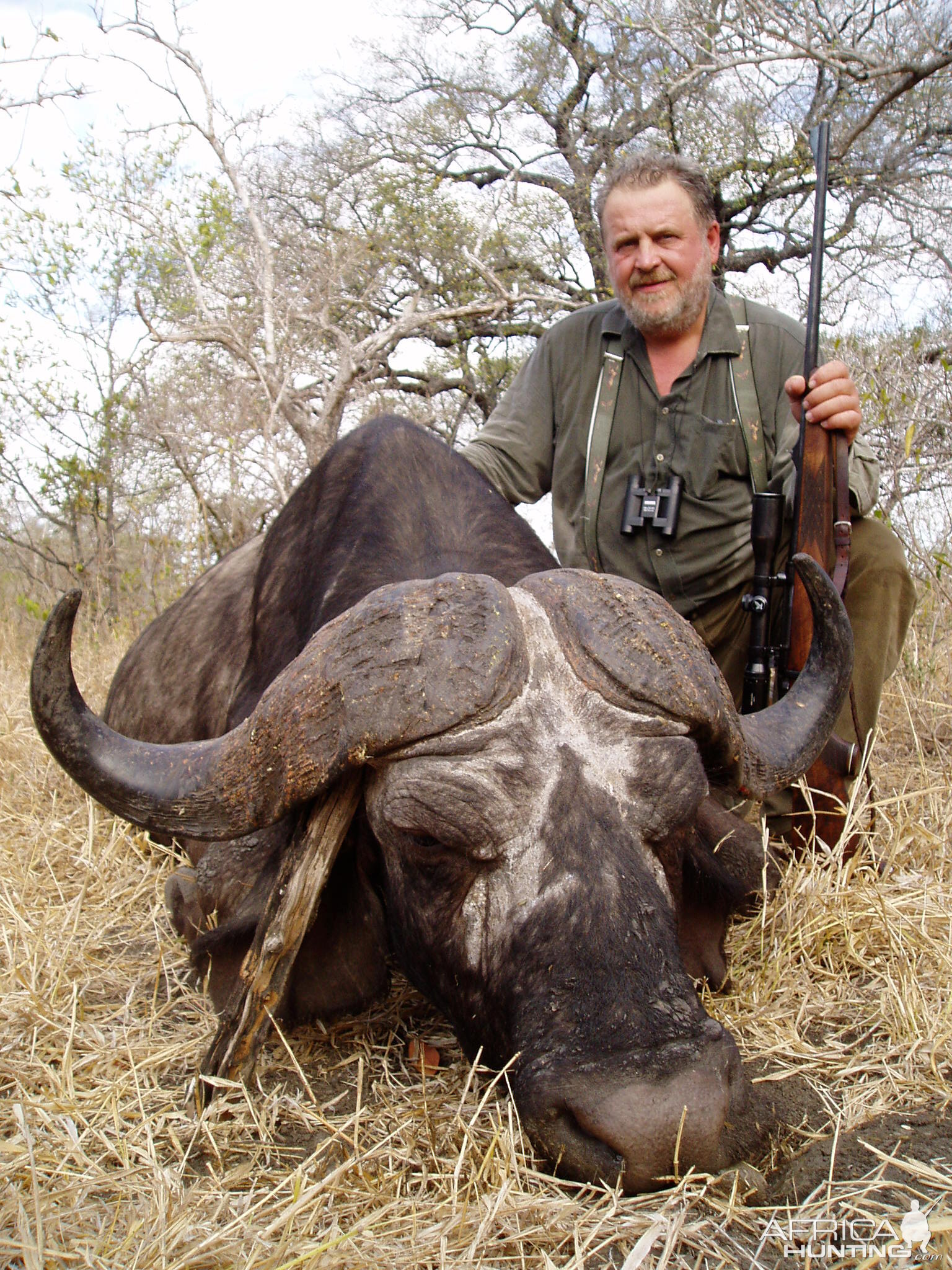 Selous Buffalo Hunting