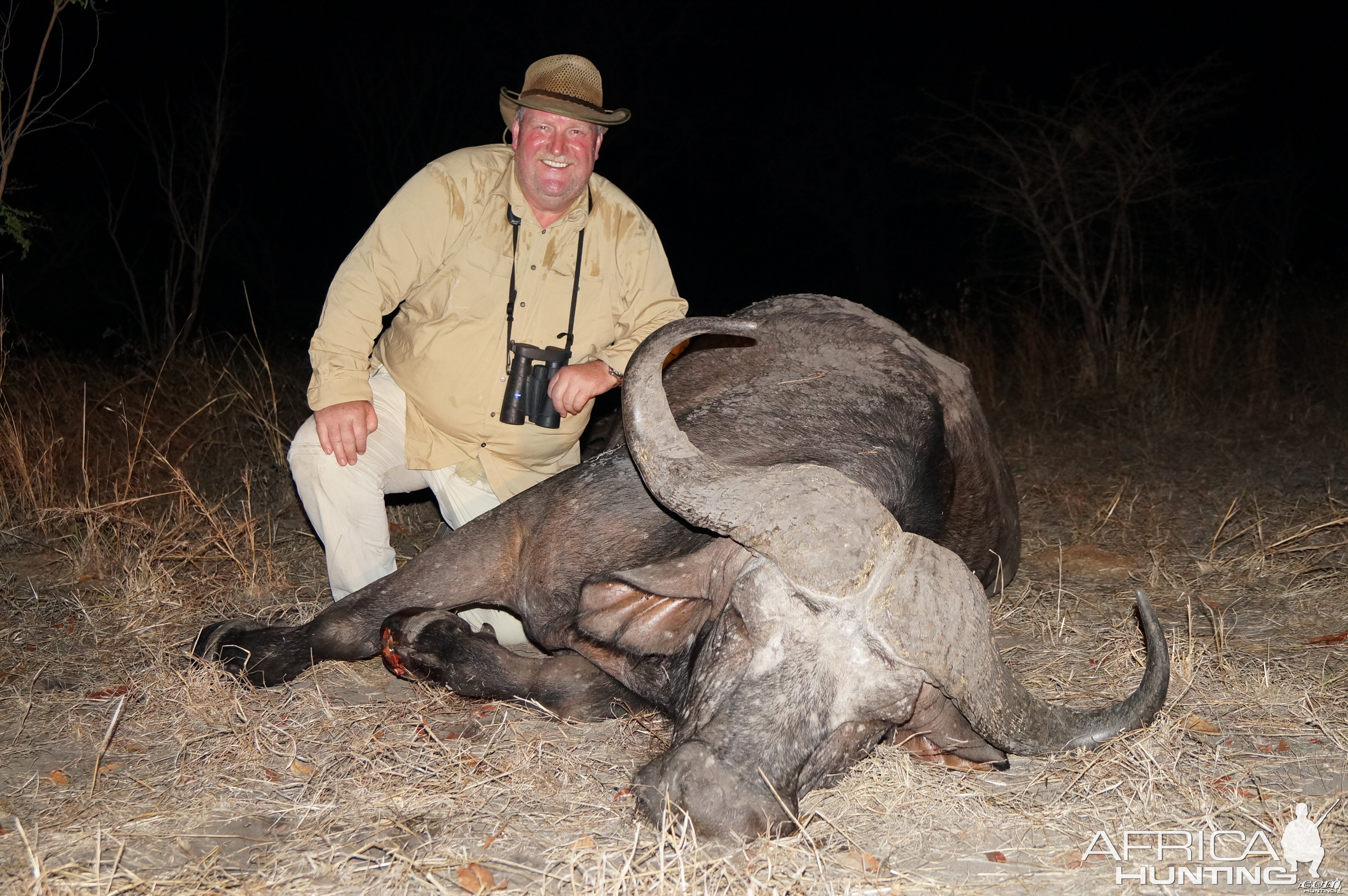 Selous Buffalo