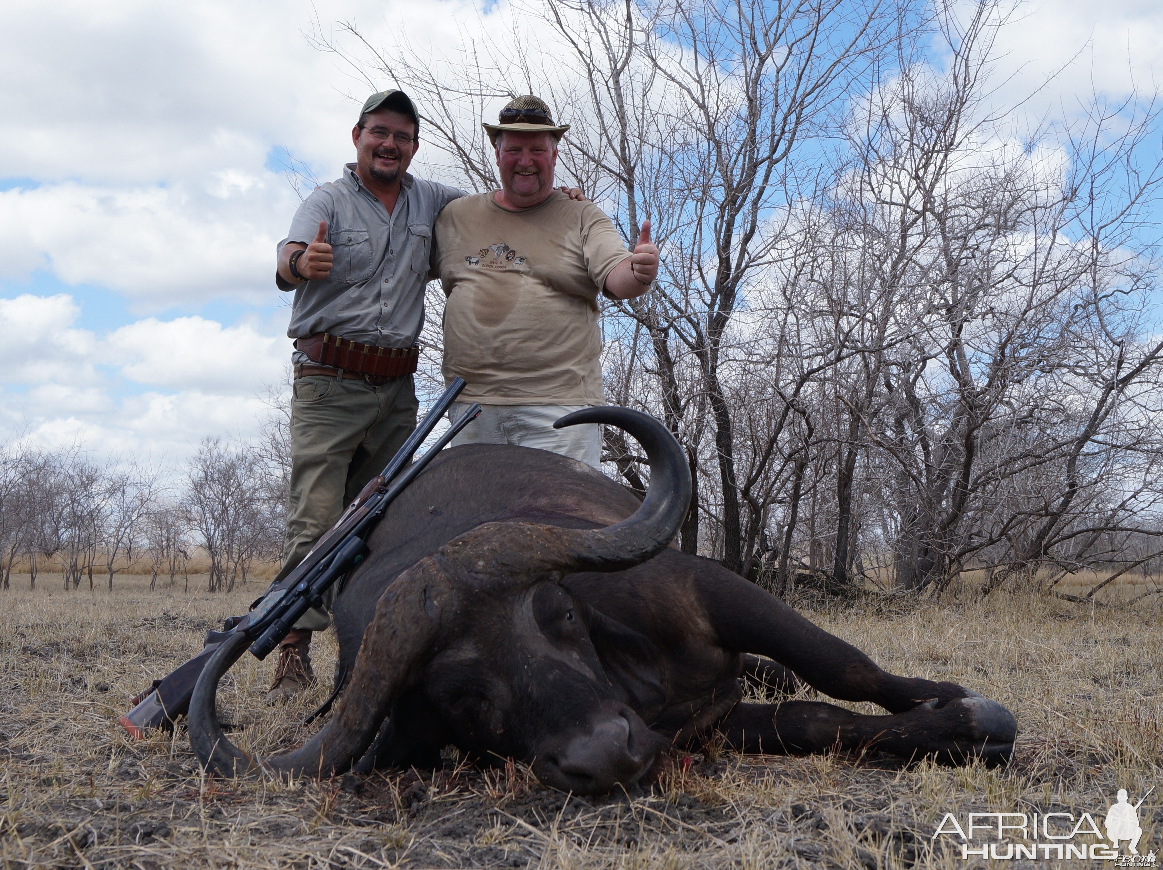 Selous Buffalo