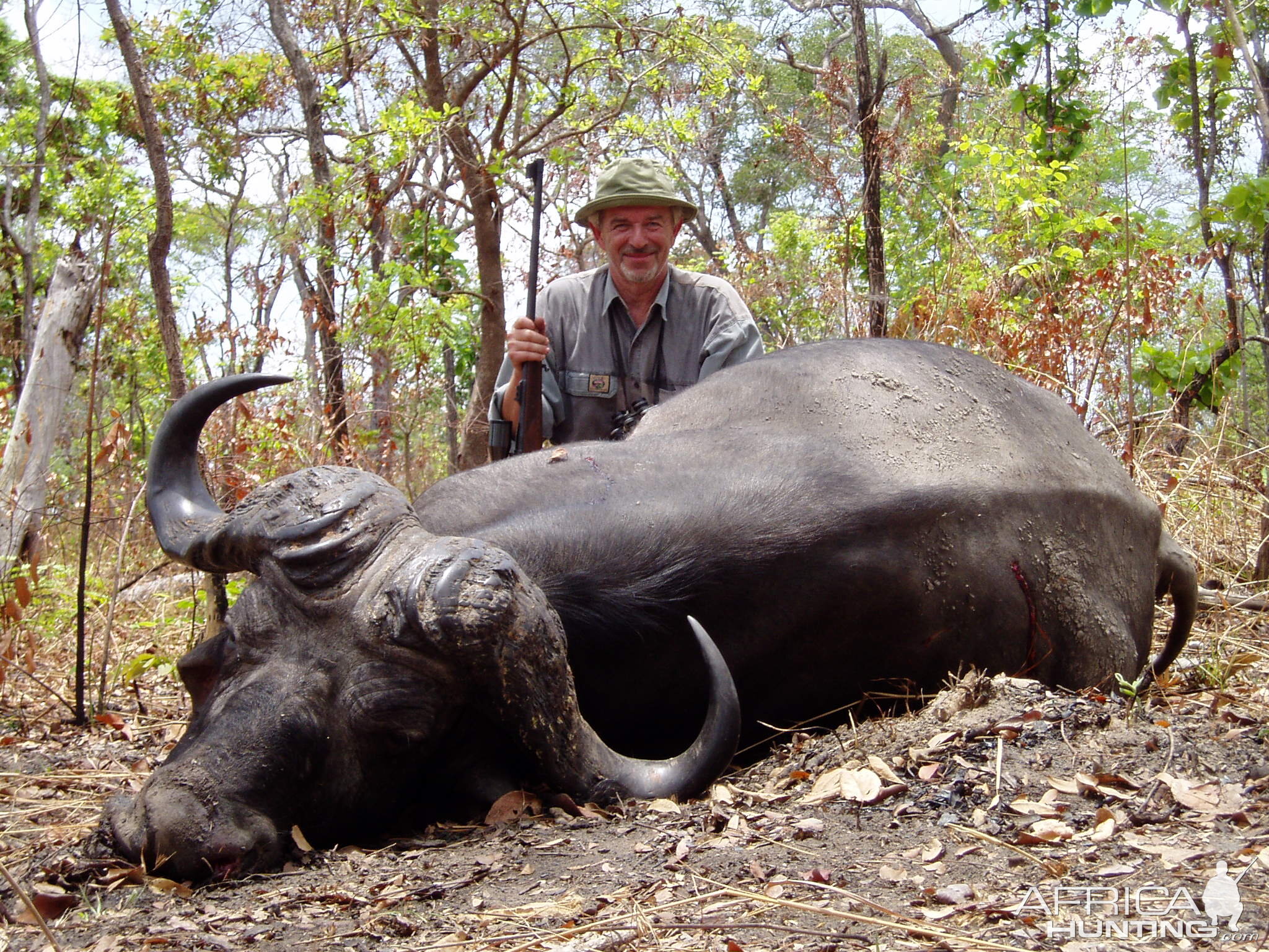 Selous K1 Cape Buffalo