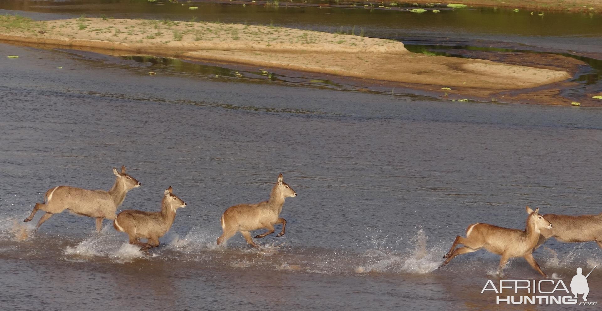 Selous Tanzania