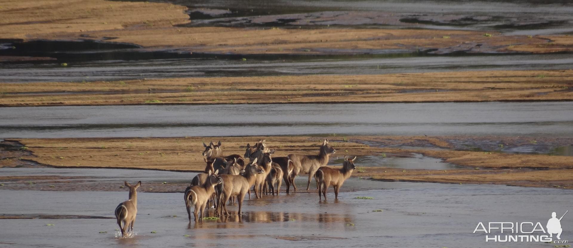 Selous Tanzania