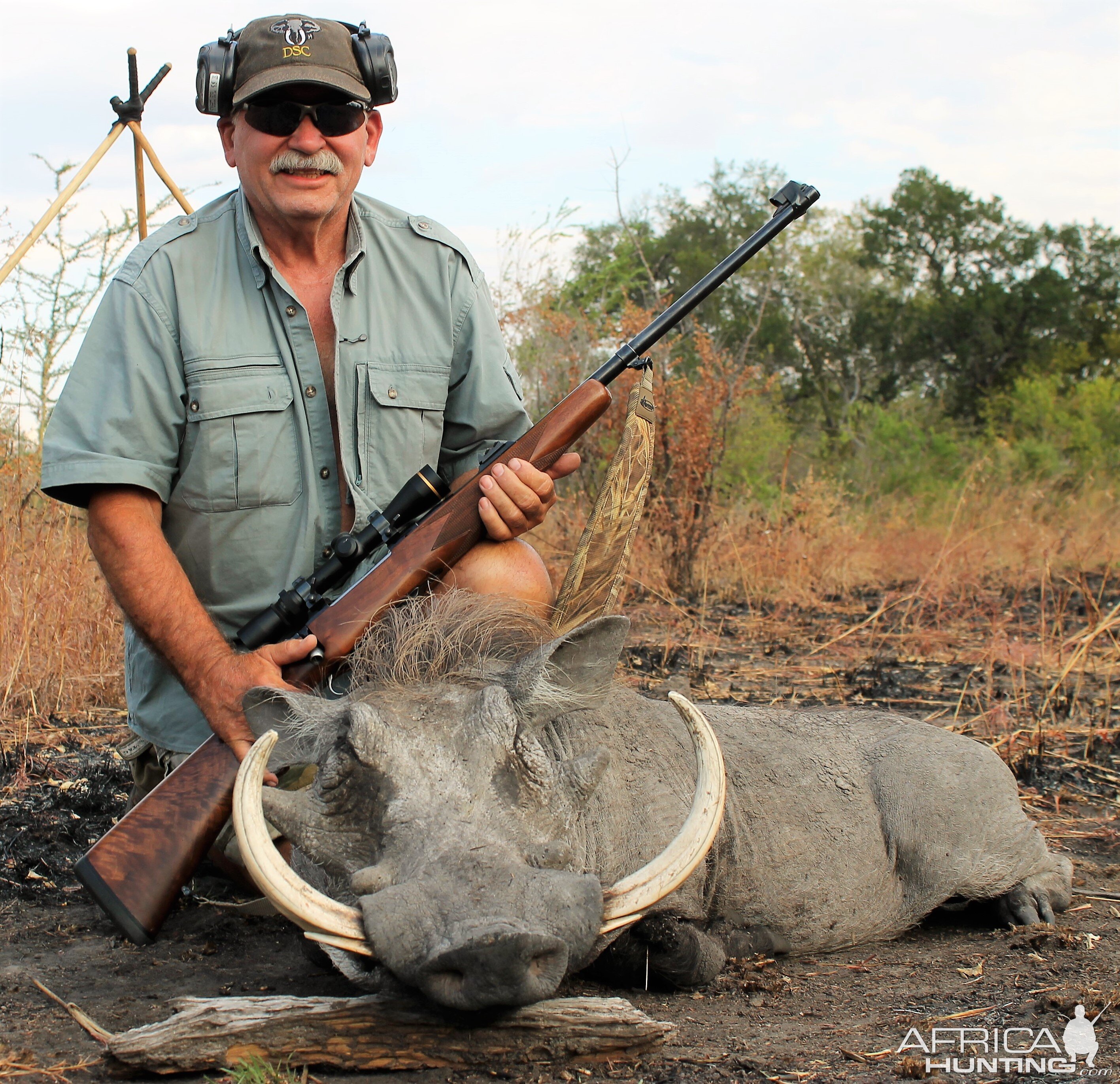 Selous - Warthog Hunt