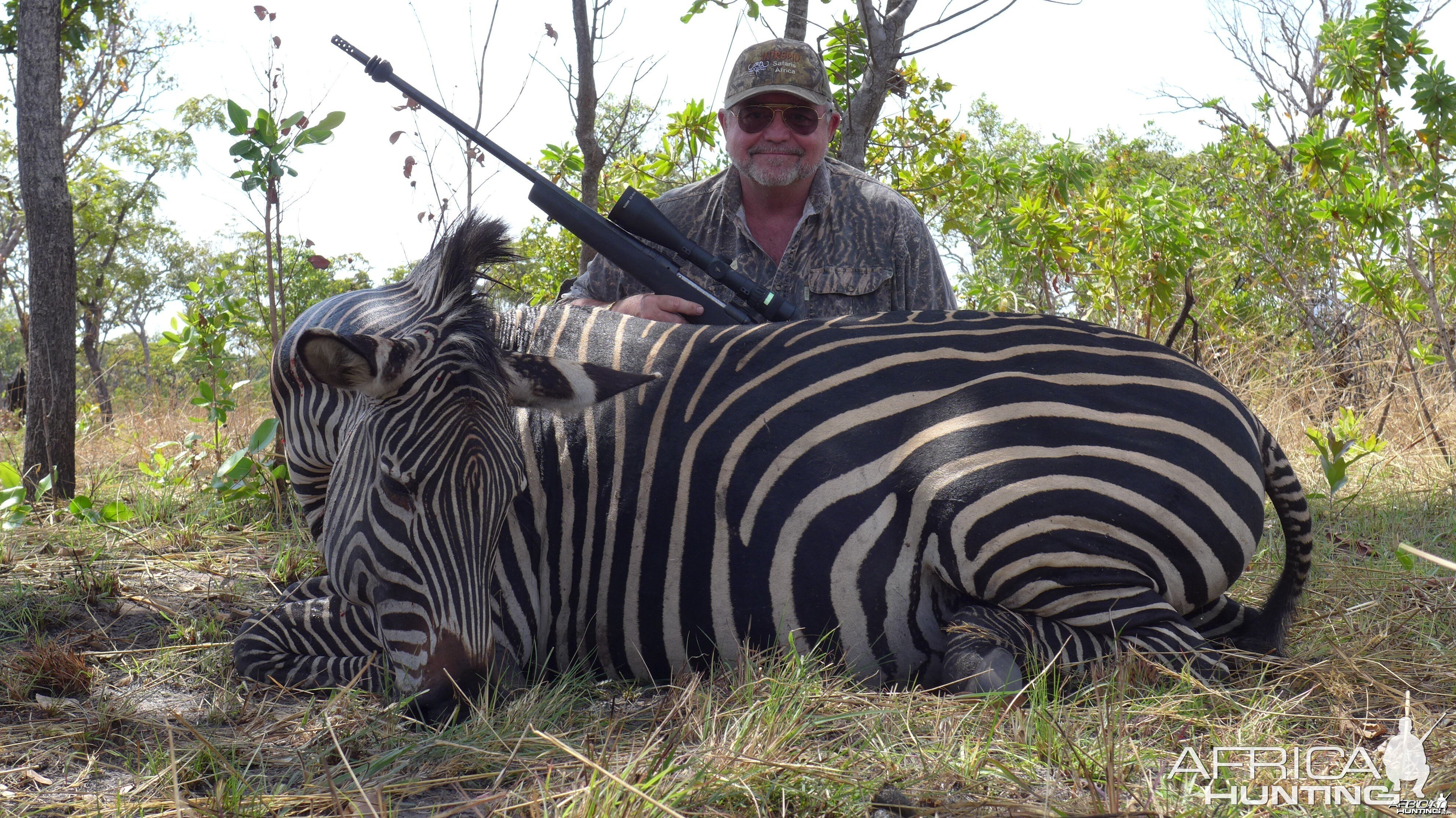 Selous Zebra