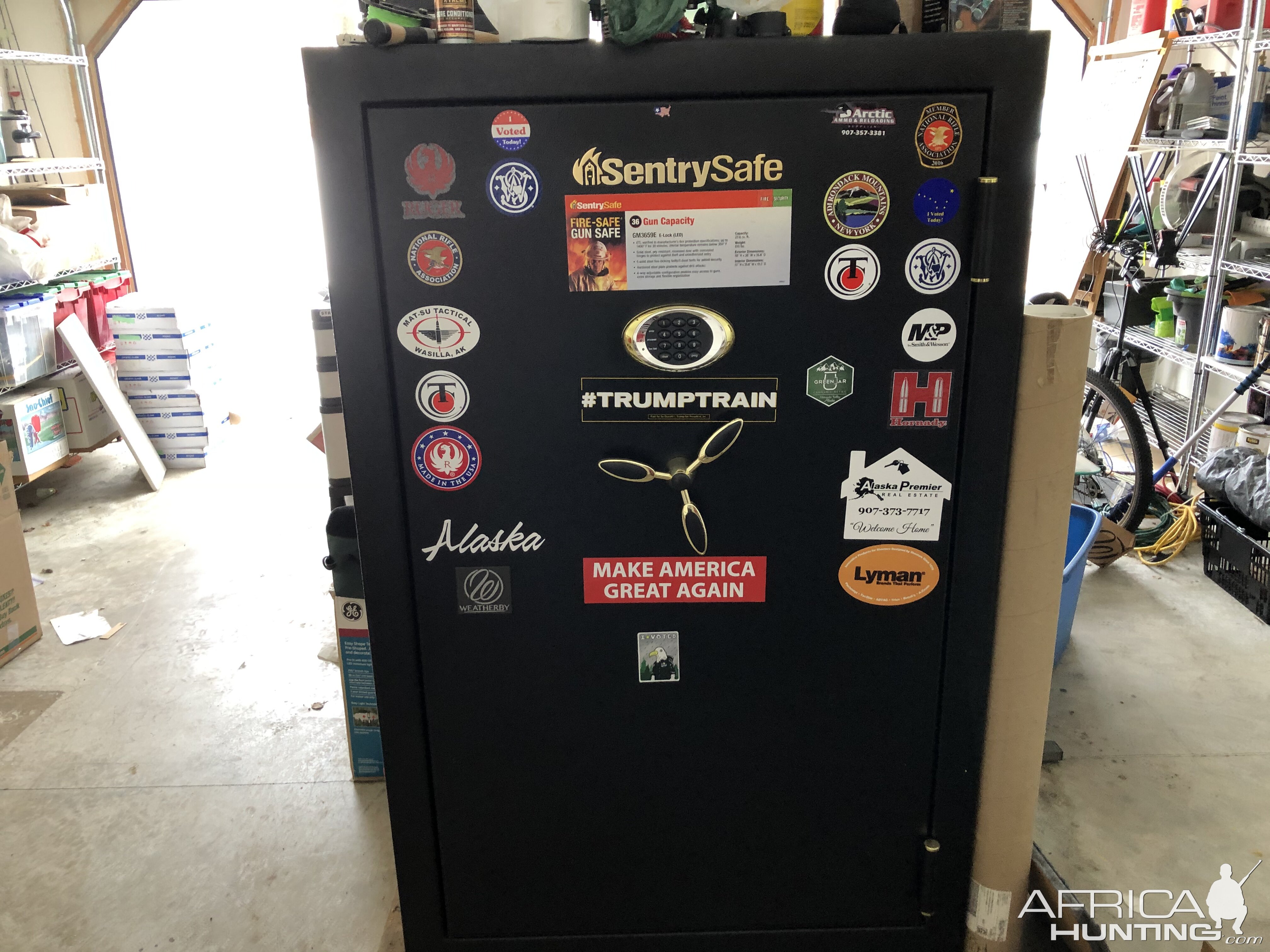 Sentry Gun Safe