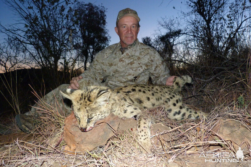 Serval Cat Hunting in South Africa