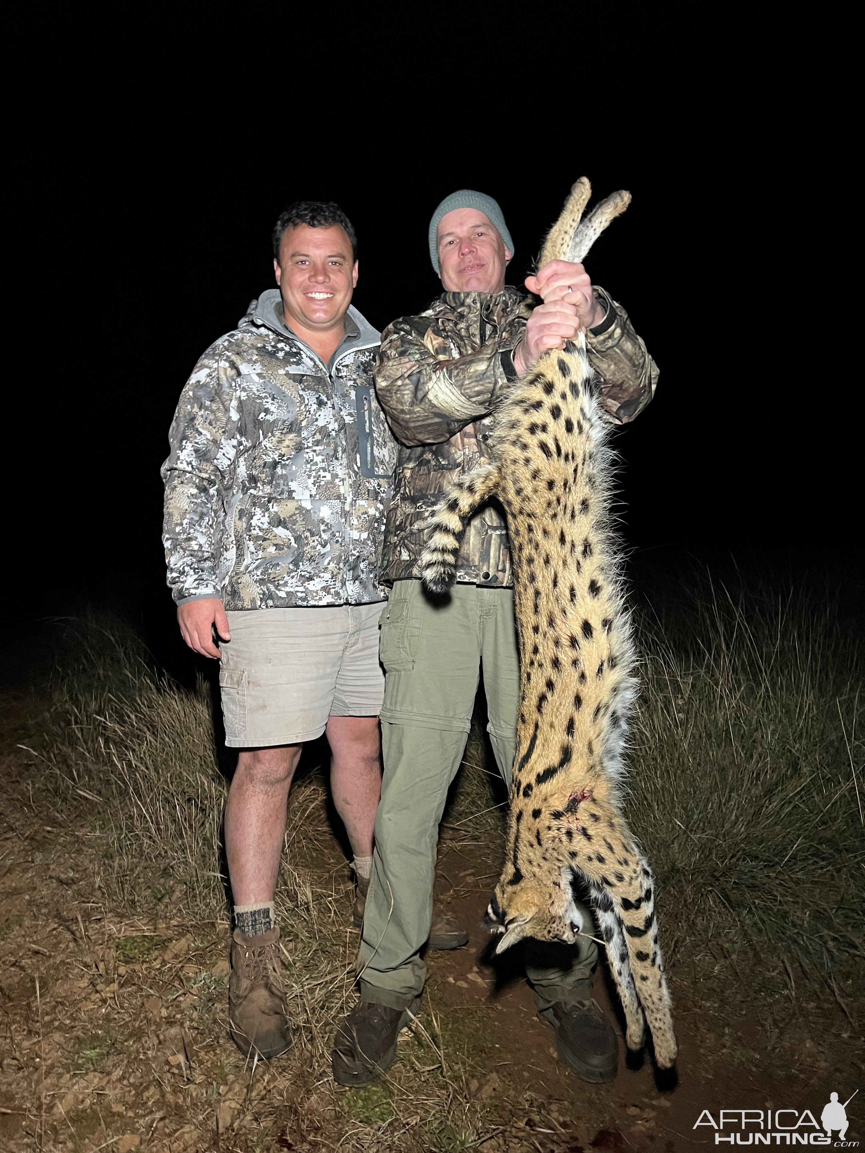 Serval Cat Hunting Mpumalanga South Africa