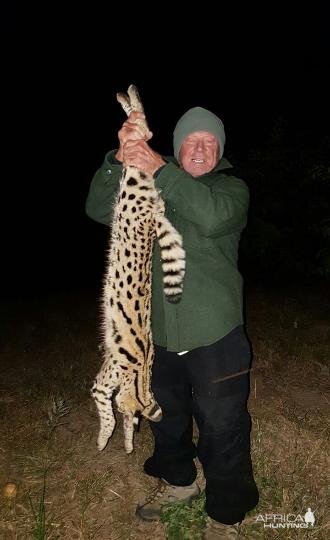 Serval Cat Hunting Sunset Safaris