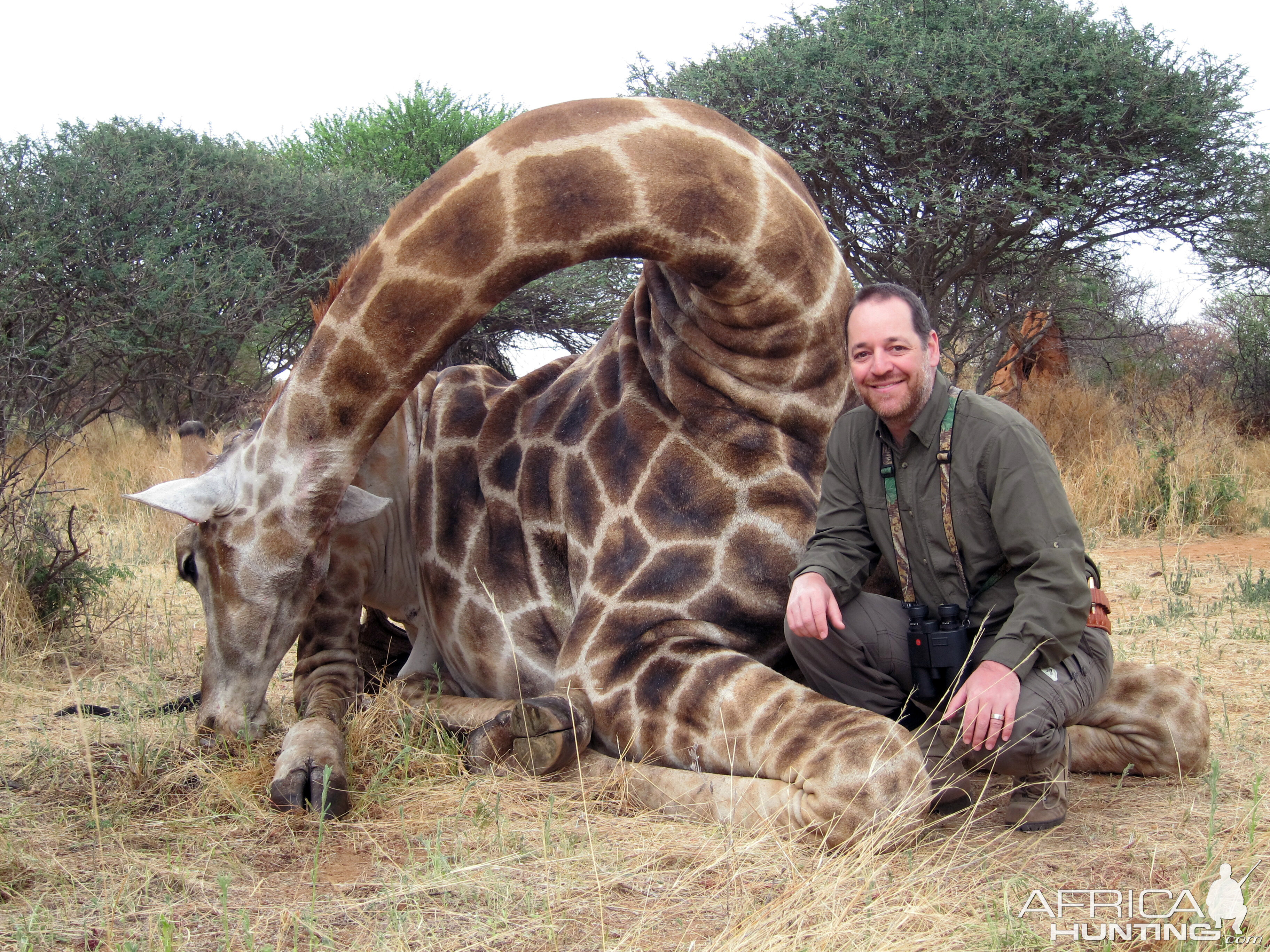 Setting up a Giraffe for trophy pictures