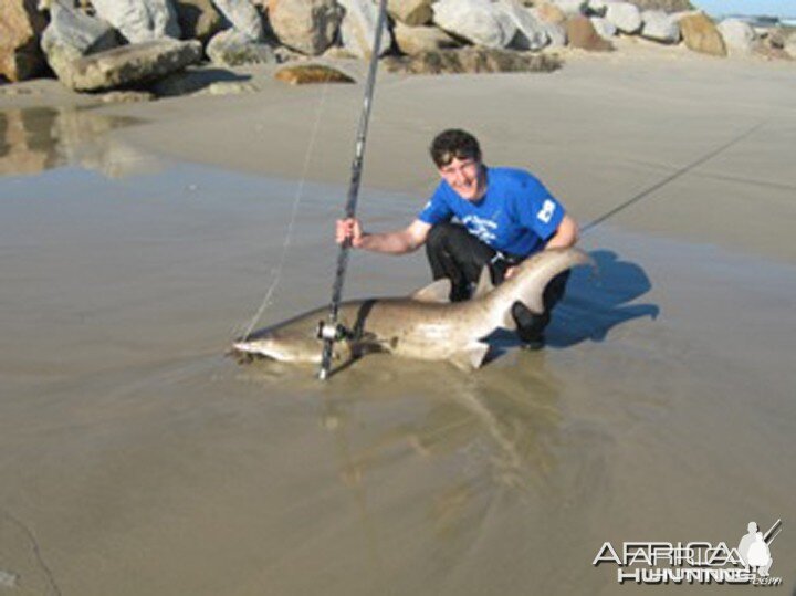 Shark fishing in and around Port Elizabeth South Africa