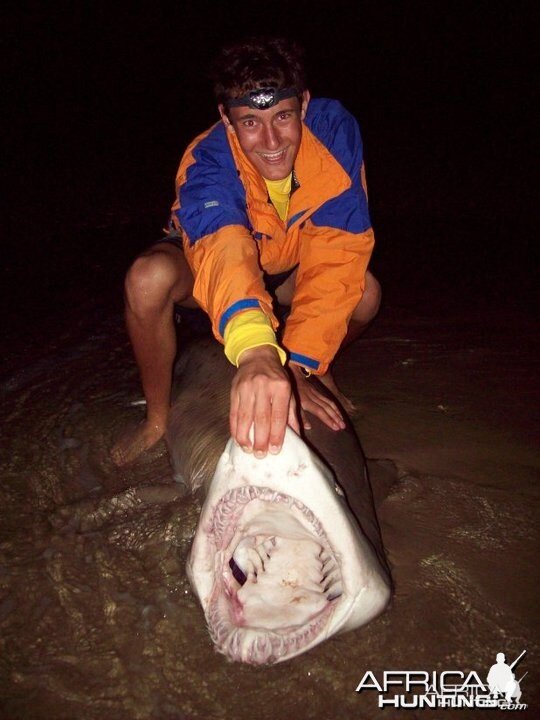 Shark fishing in and around Port Elizabeth South Africa