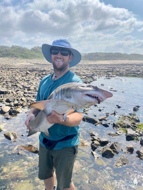 Shark Fishing South Africa