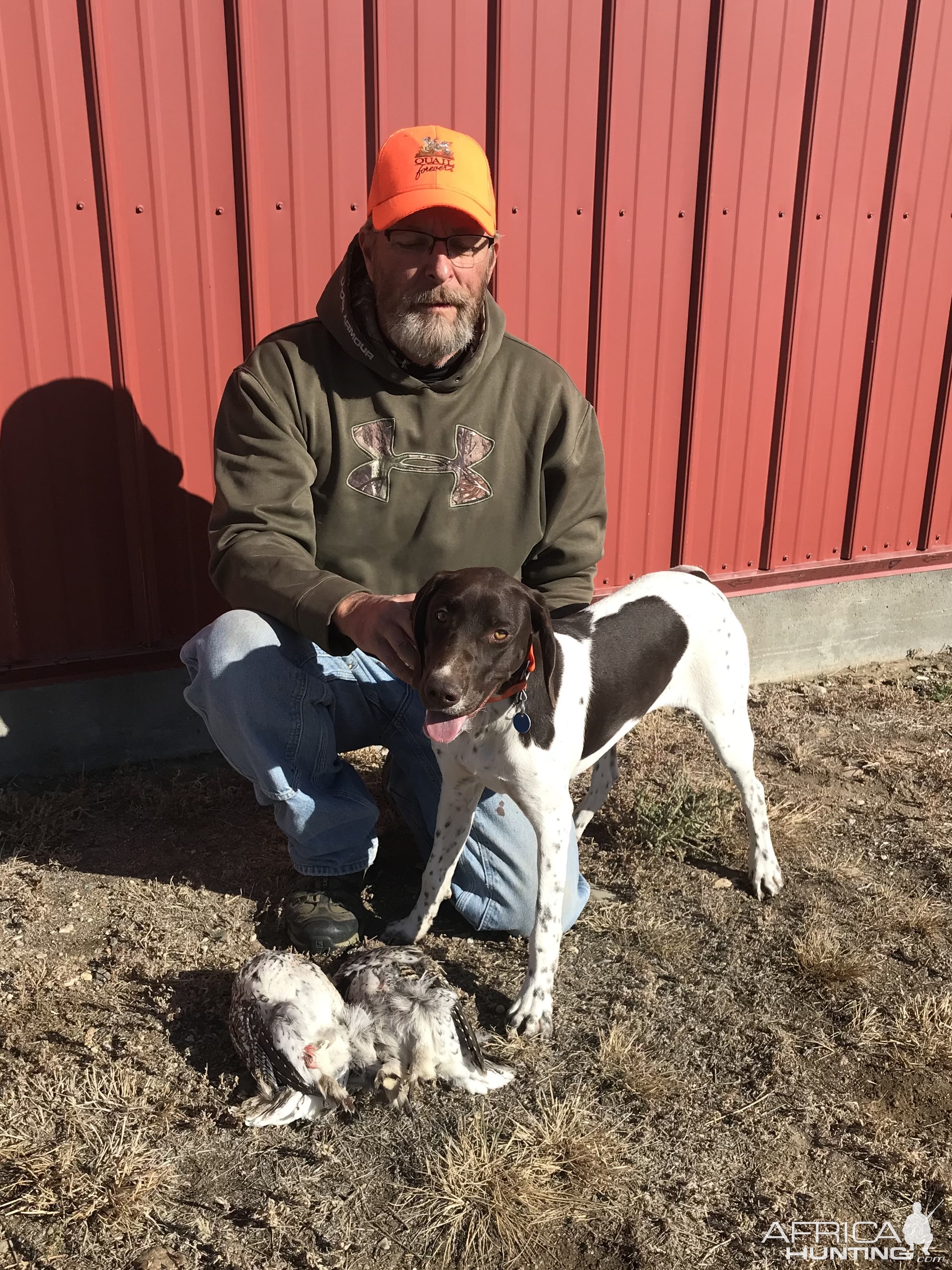 Sharp-Tailed Grouse Hunt