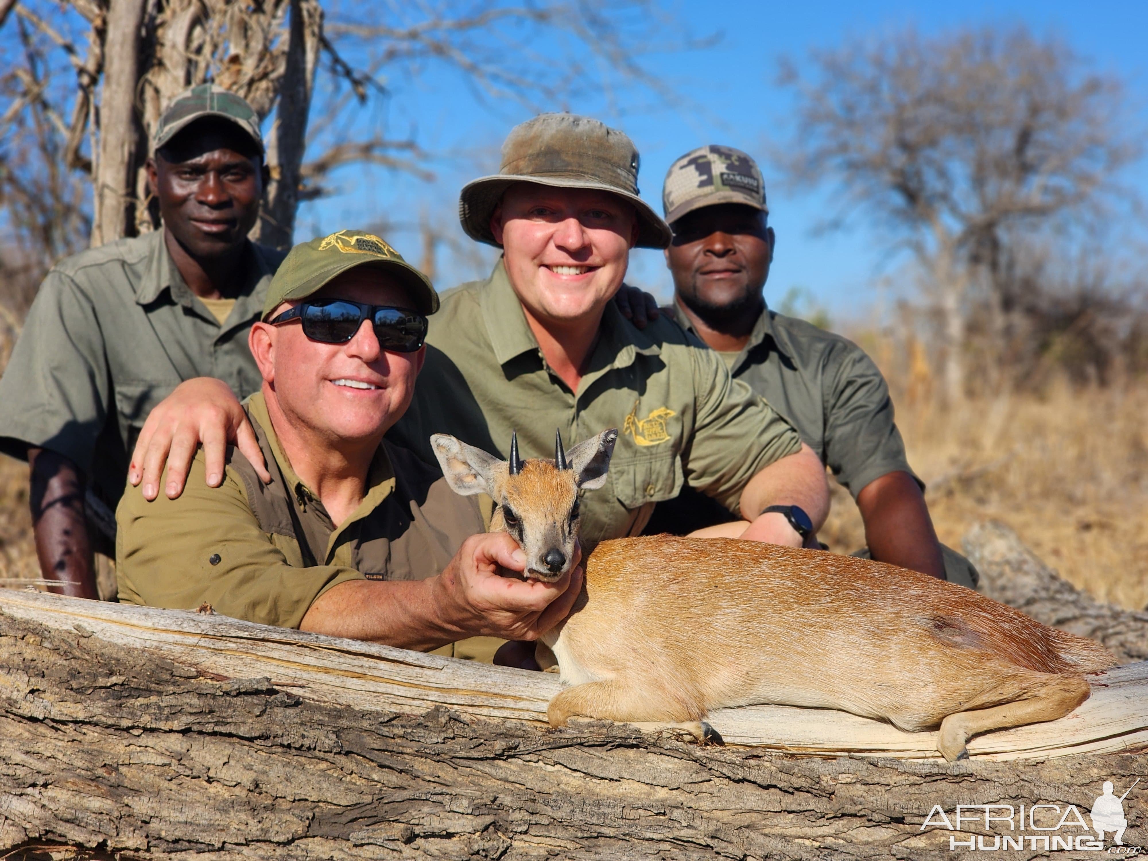 Sharpe's Grysbok Hunt Mozambique