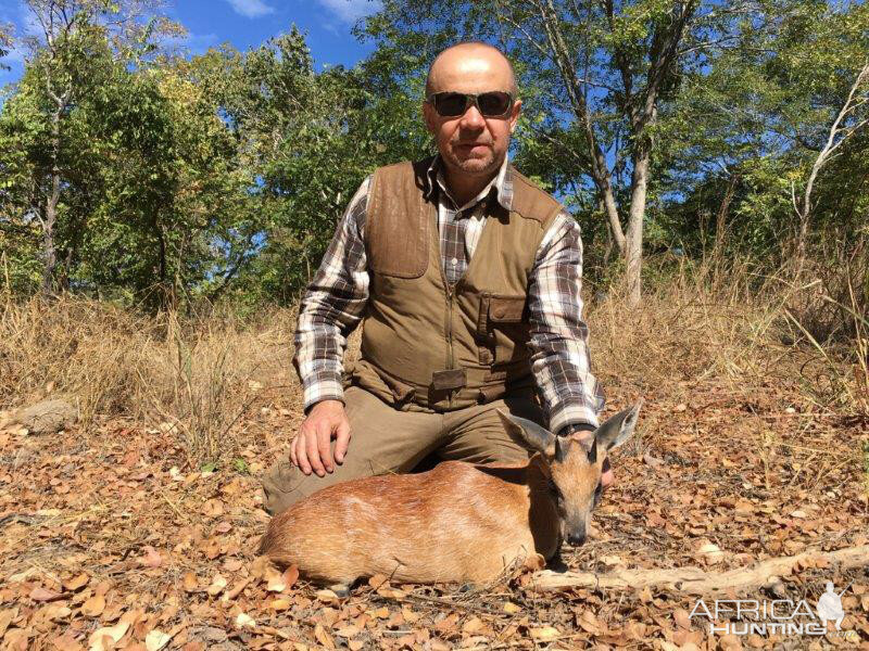 Sharpe's Grysbok Hunt Mozambique