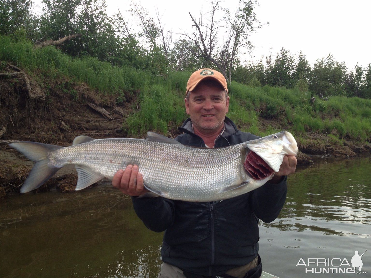 Sheefish Fishing