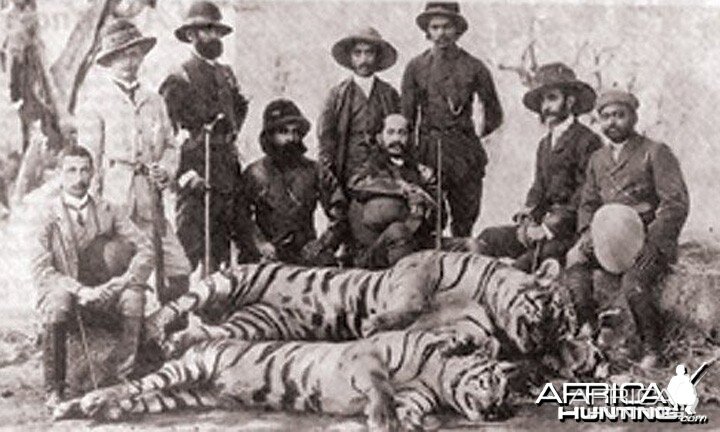 Sher shikar, Tiger hunt in Kerala, India