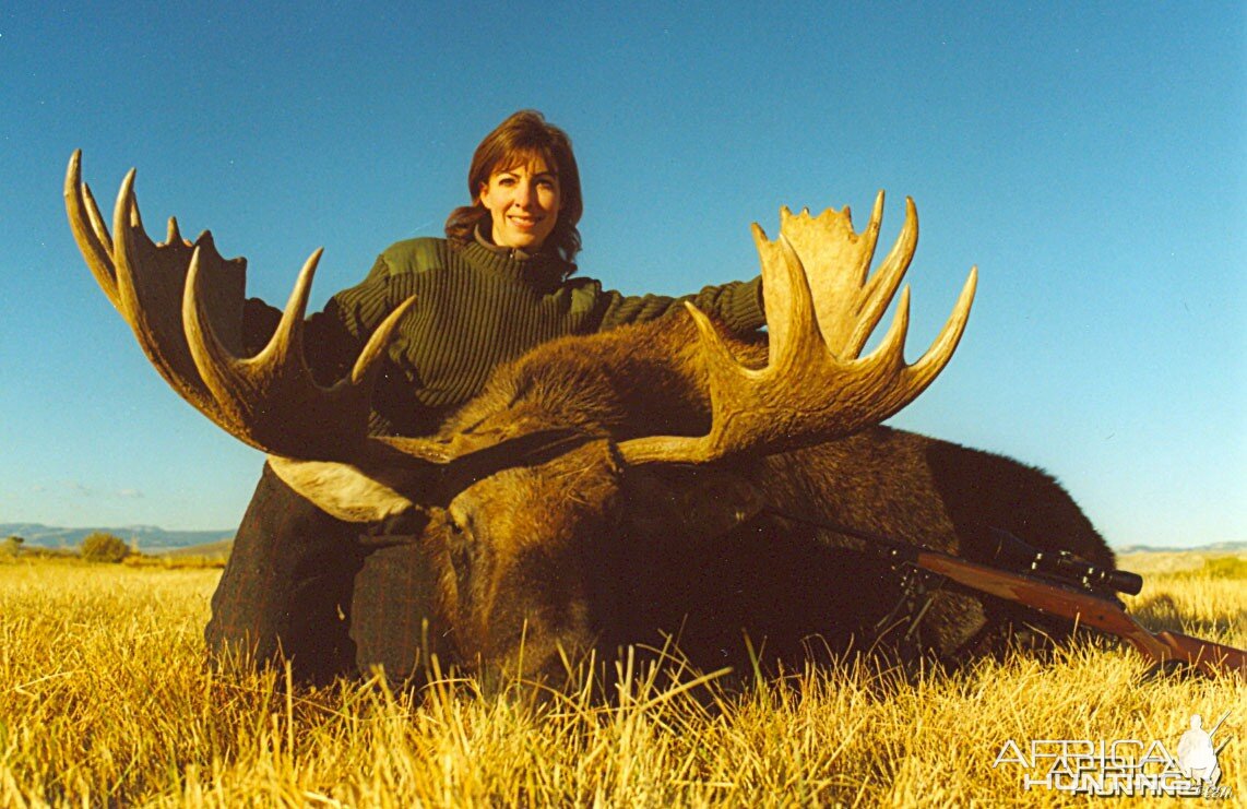 Shiras Moose '02 - Montana