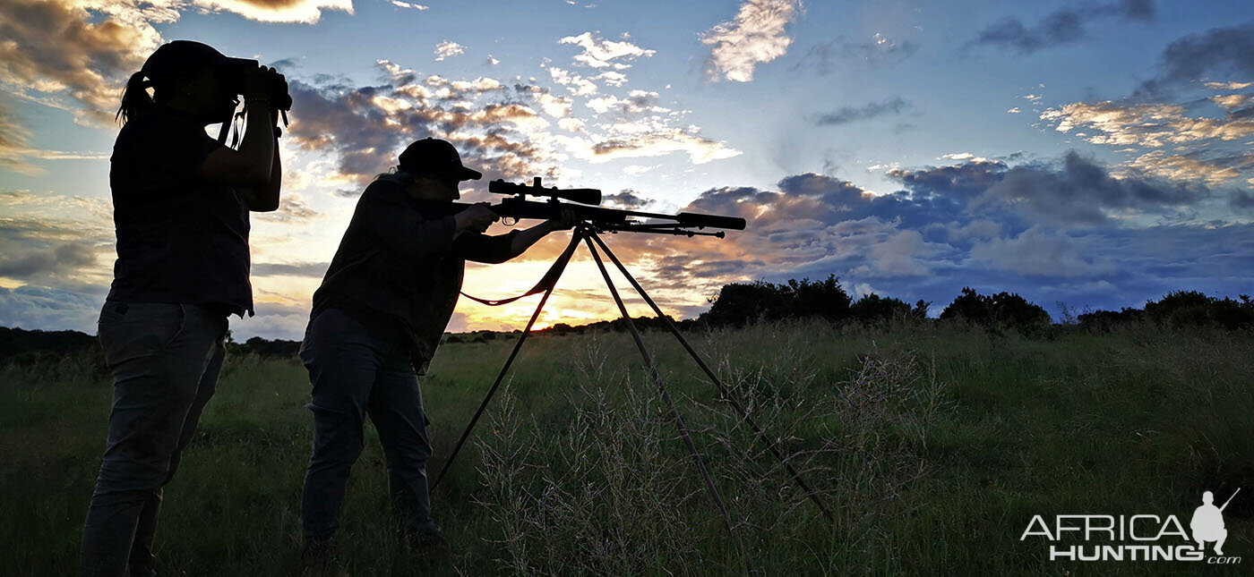 Shooting from a Shooting Stick