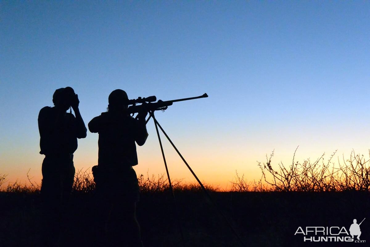 Shooting Stick Namibia Hunt