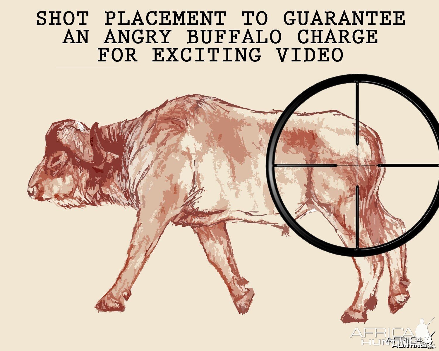 SHOT PLACEMENT TO GUARANTEE AN ANGRY BUFFALO CHARGE FOR EXCITING VIDEO