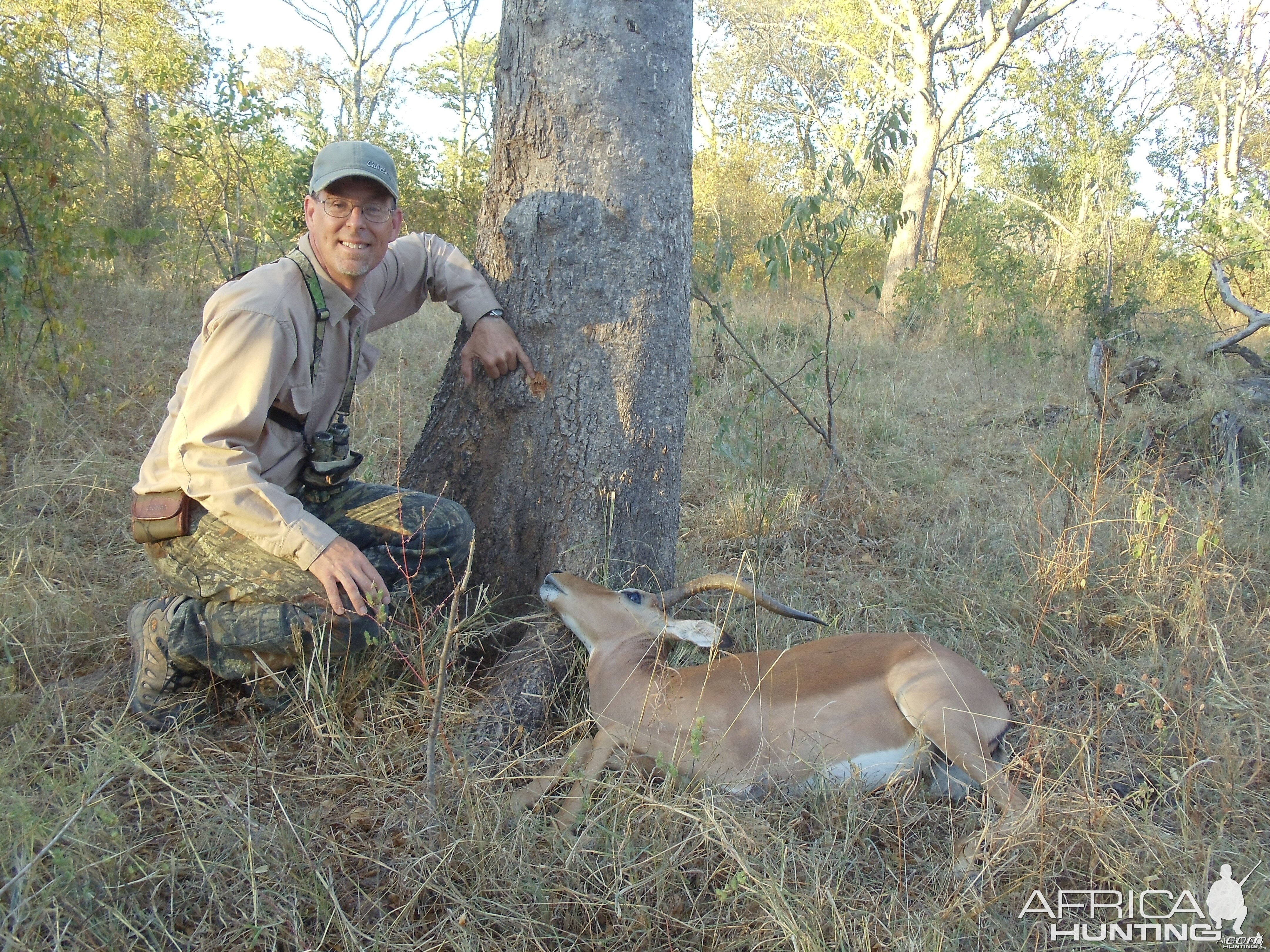 shot tree with impala in front of it