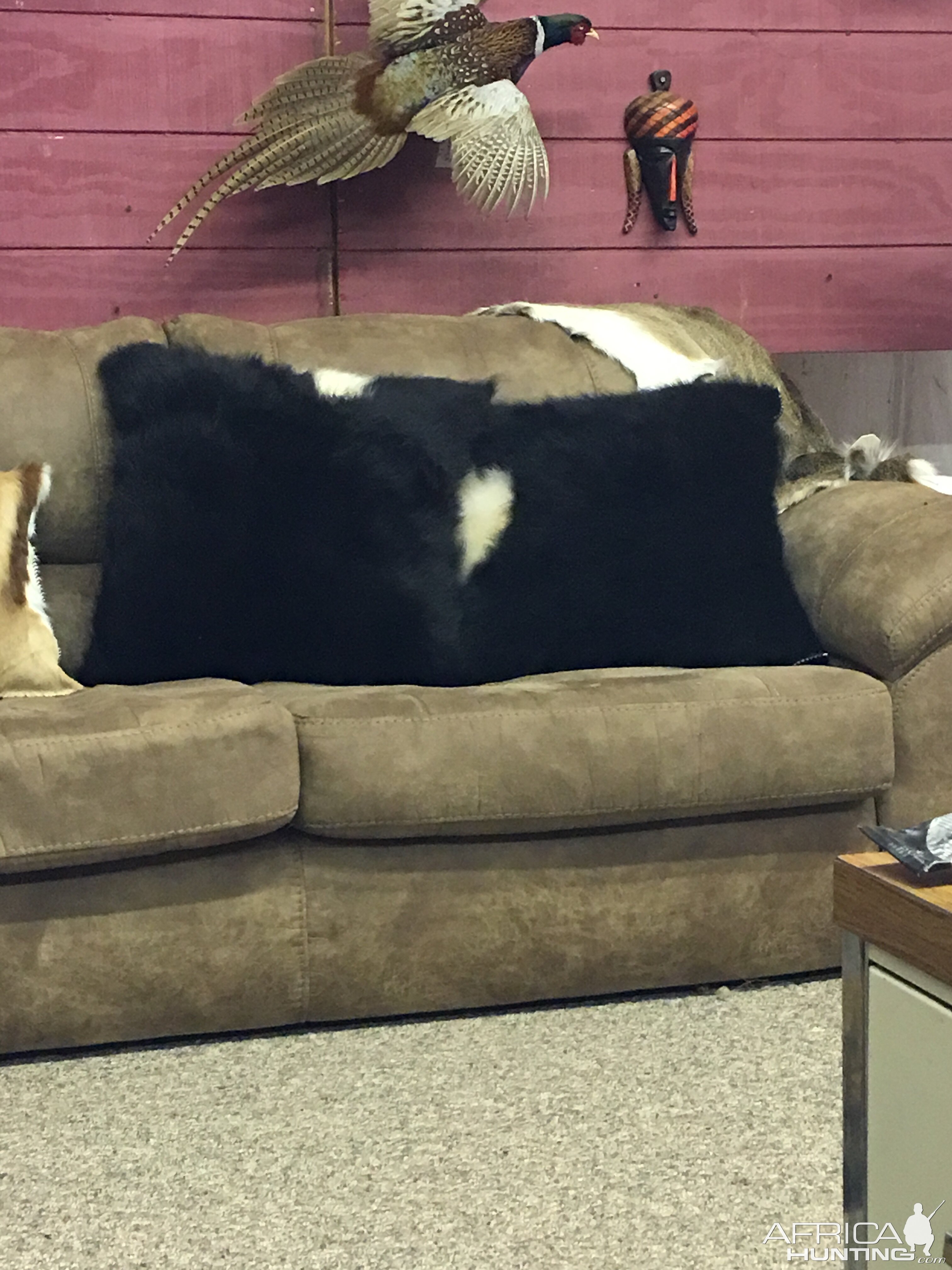 Show Steer Pillow