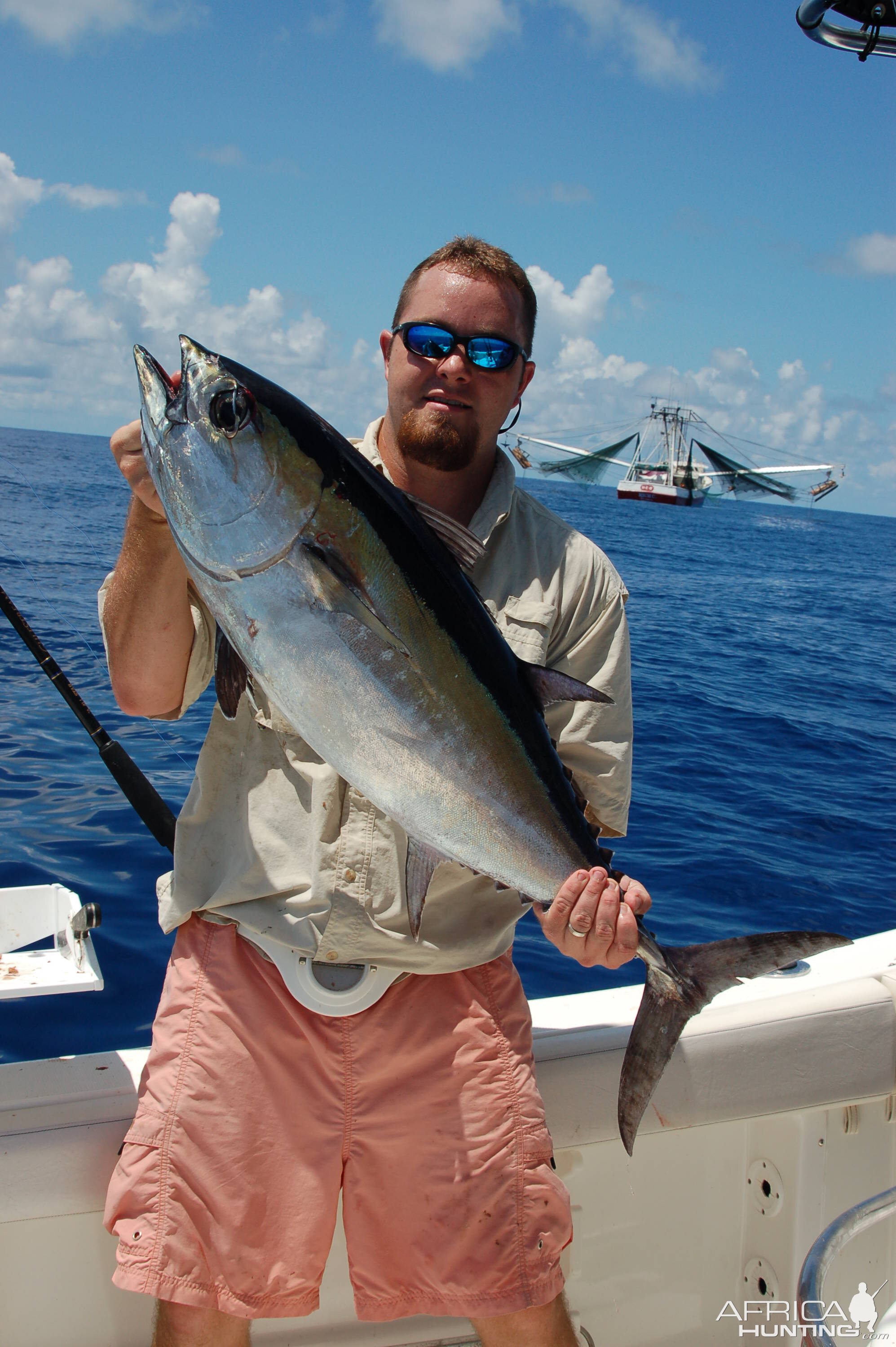 Shrimpboat blackfin