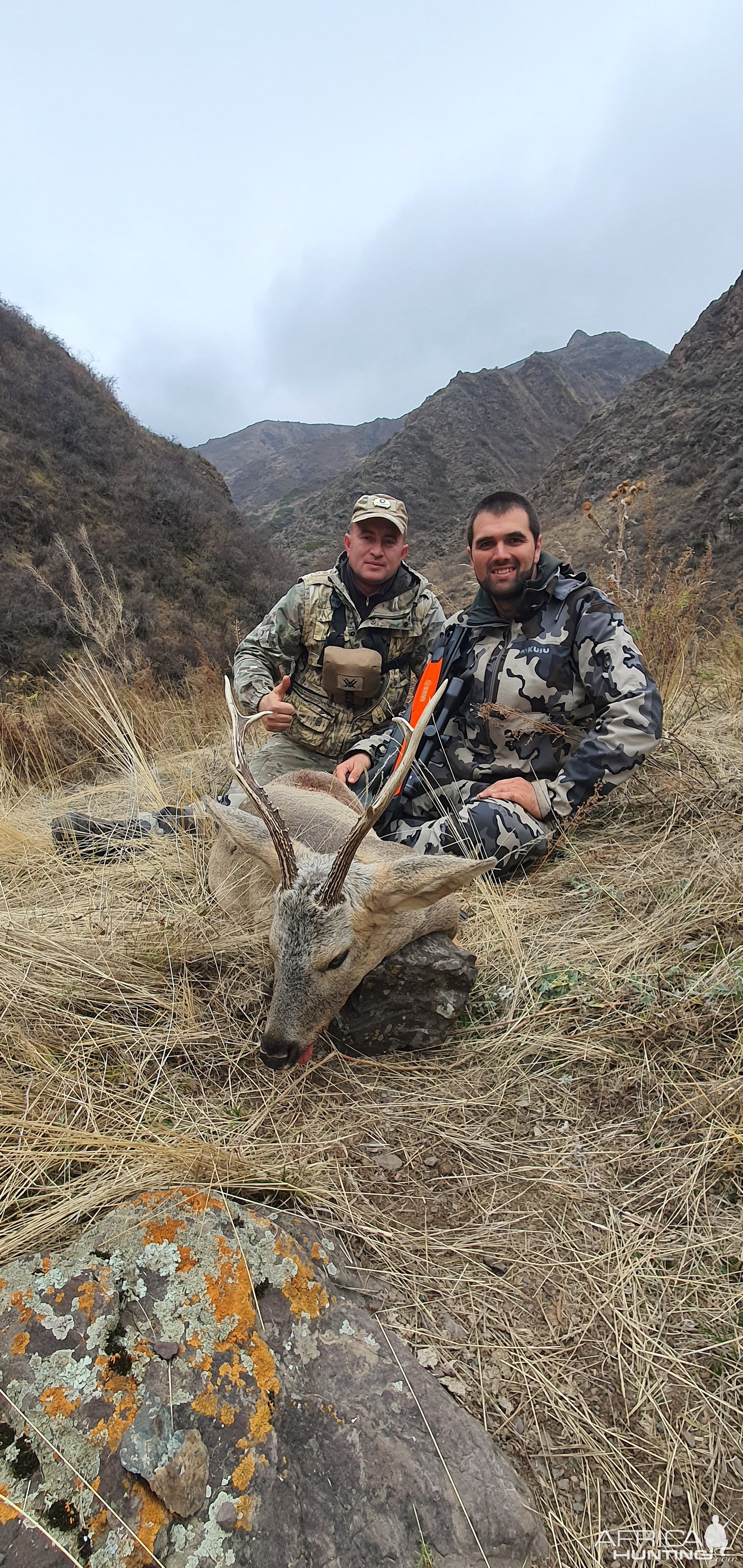 Siberian Roe Deer Hunt Kazakhstan