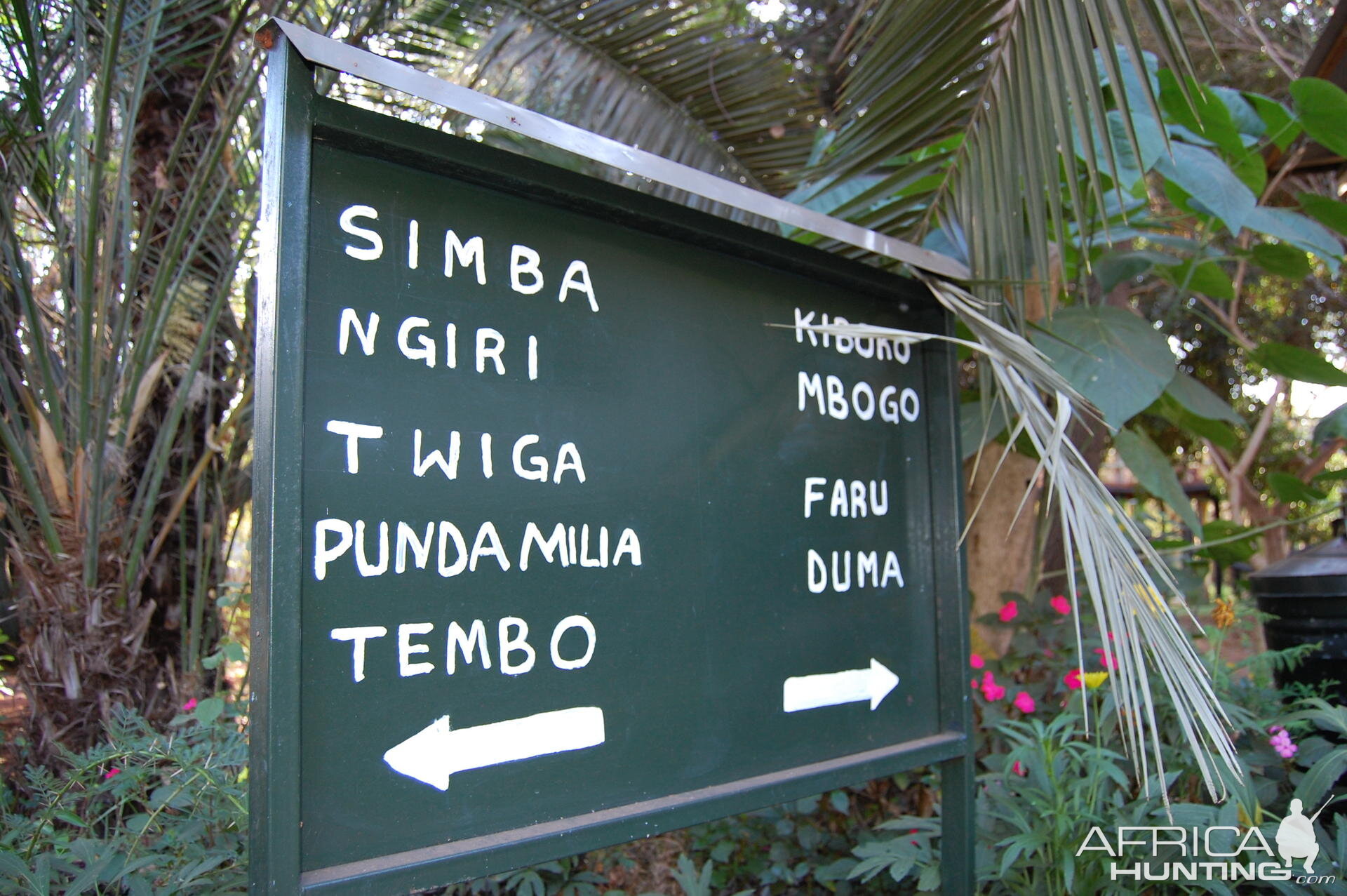 Sign Tanzania