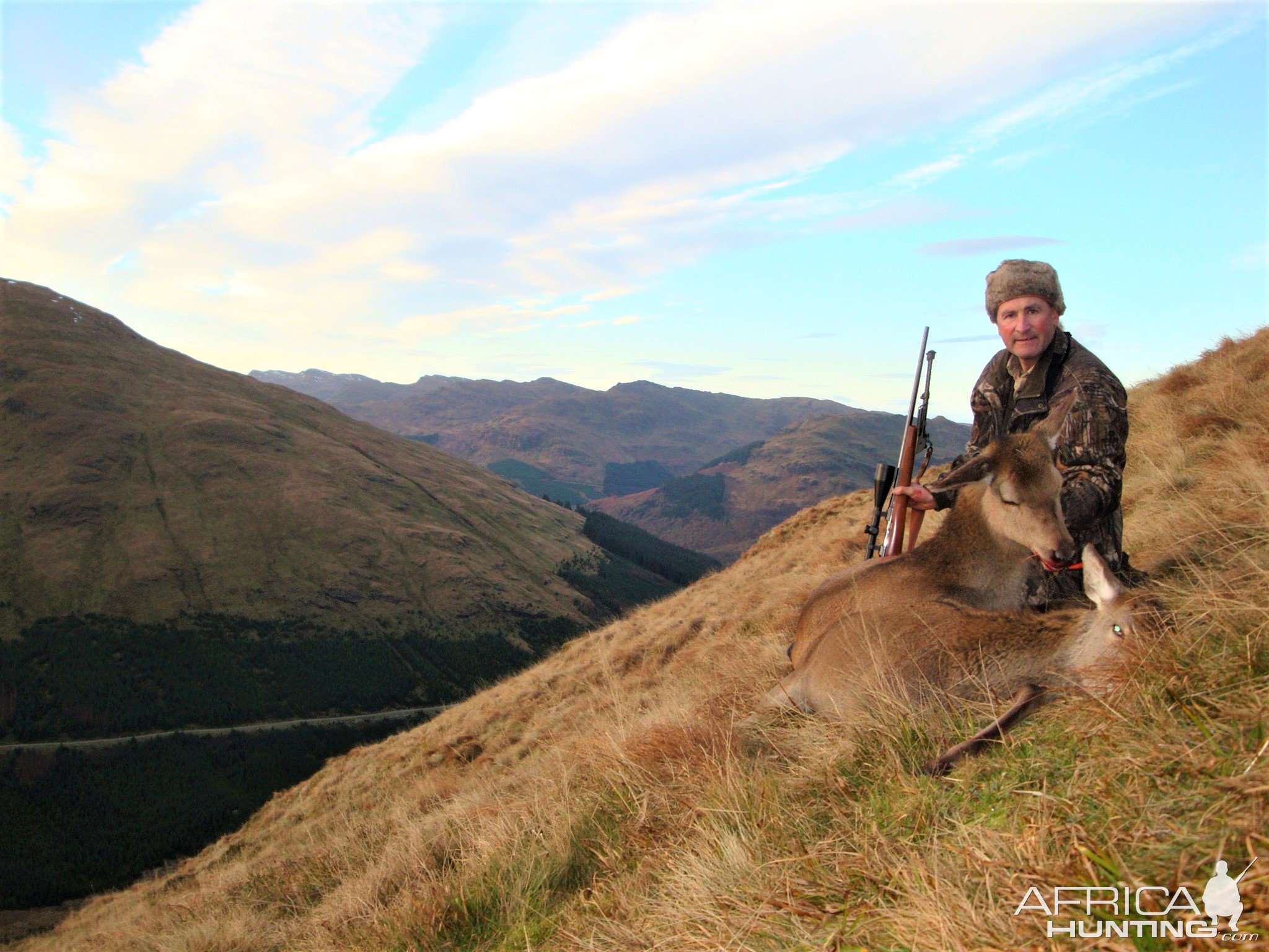 Sika Deer Hunt Scotland