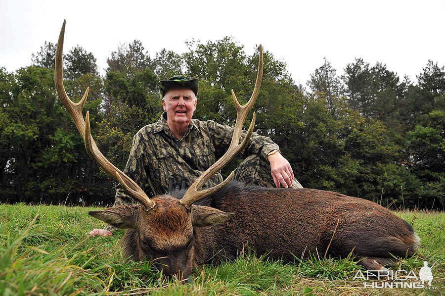 Sika Deer Hunting in France