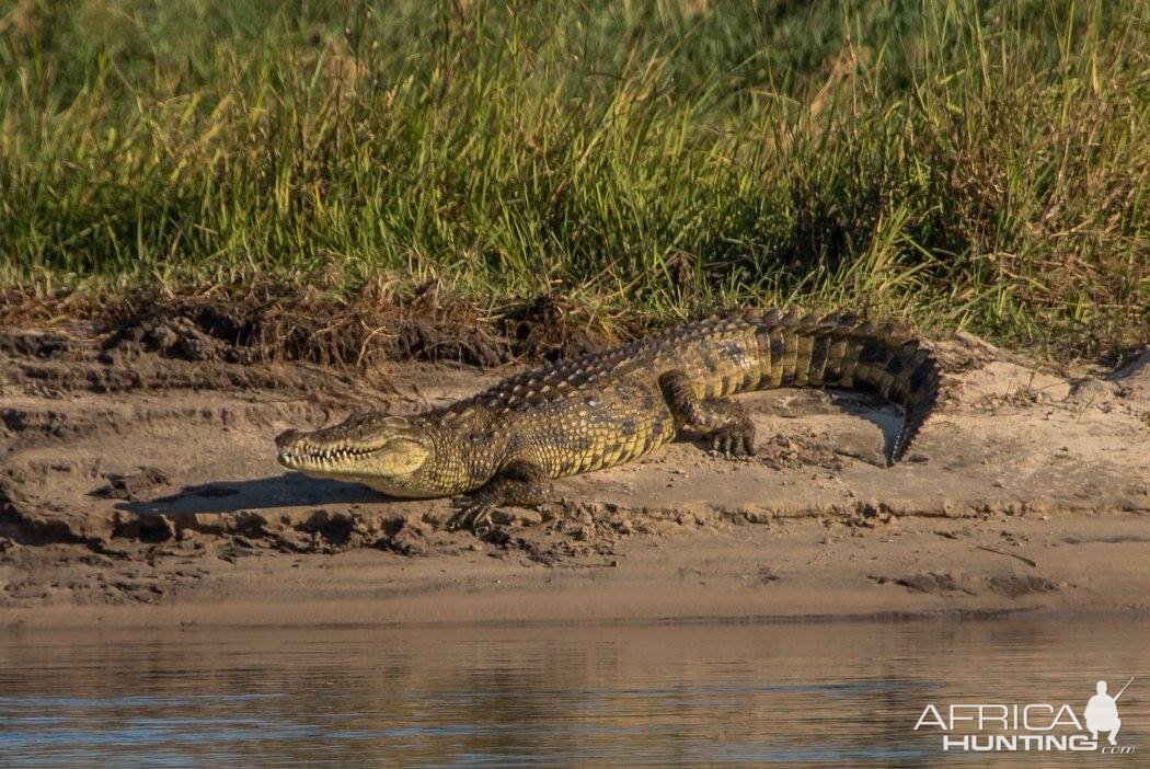 Sikunga Conservancy