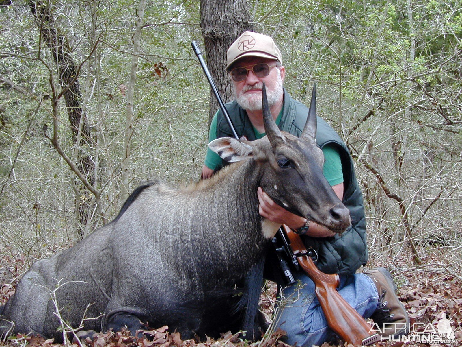 SimmSamm's Nilgai