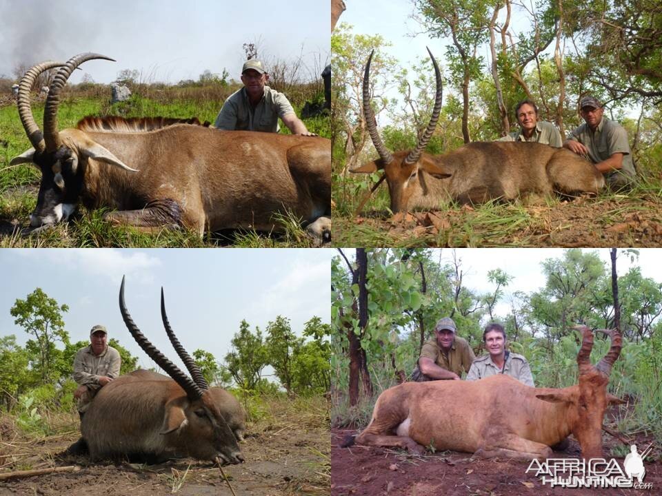 Sing sing waterbuck, Lelwel hartebeest and 32 1/2'' Roan