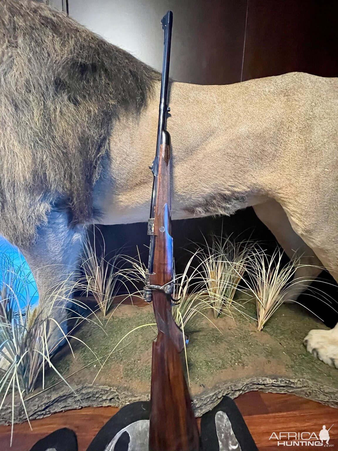 Single Bridge Mauser In 416 Rigby Rifle