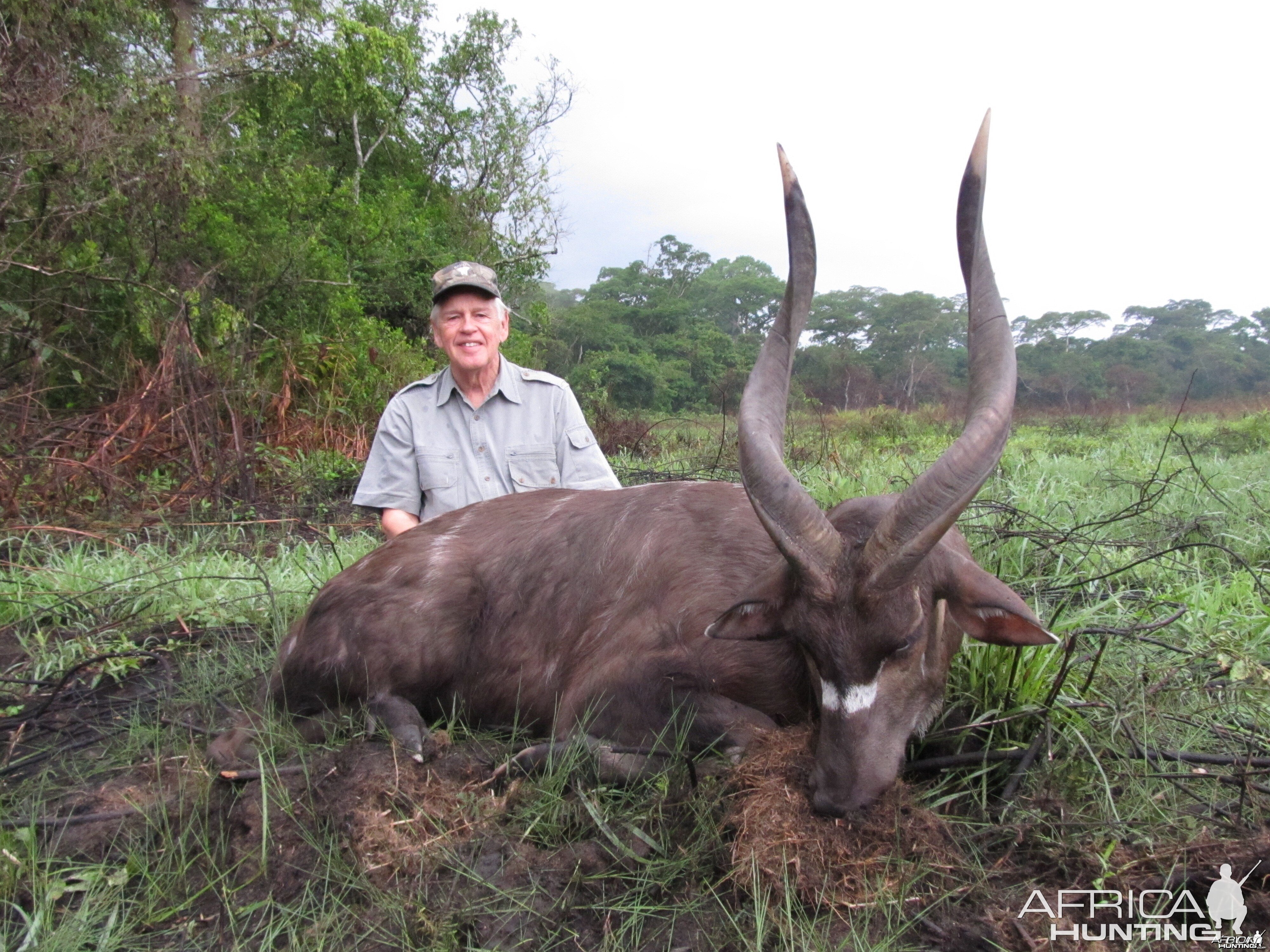 Sitatunga hunted in Central African Republic with CAWA