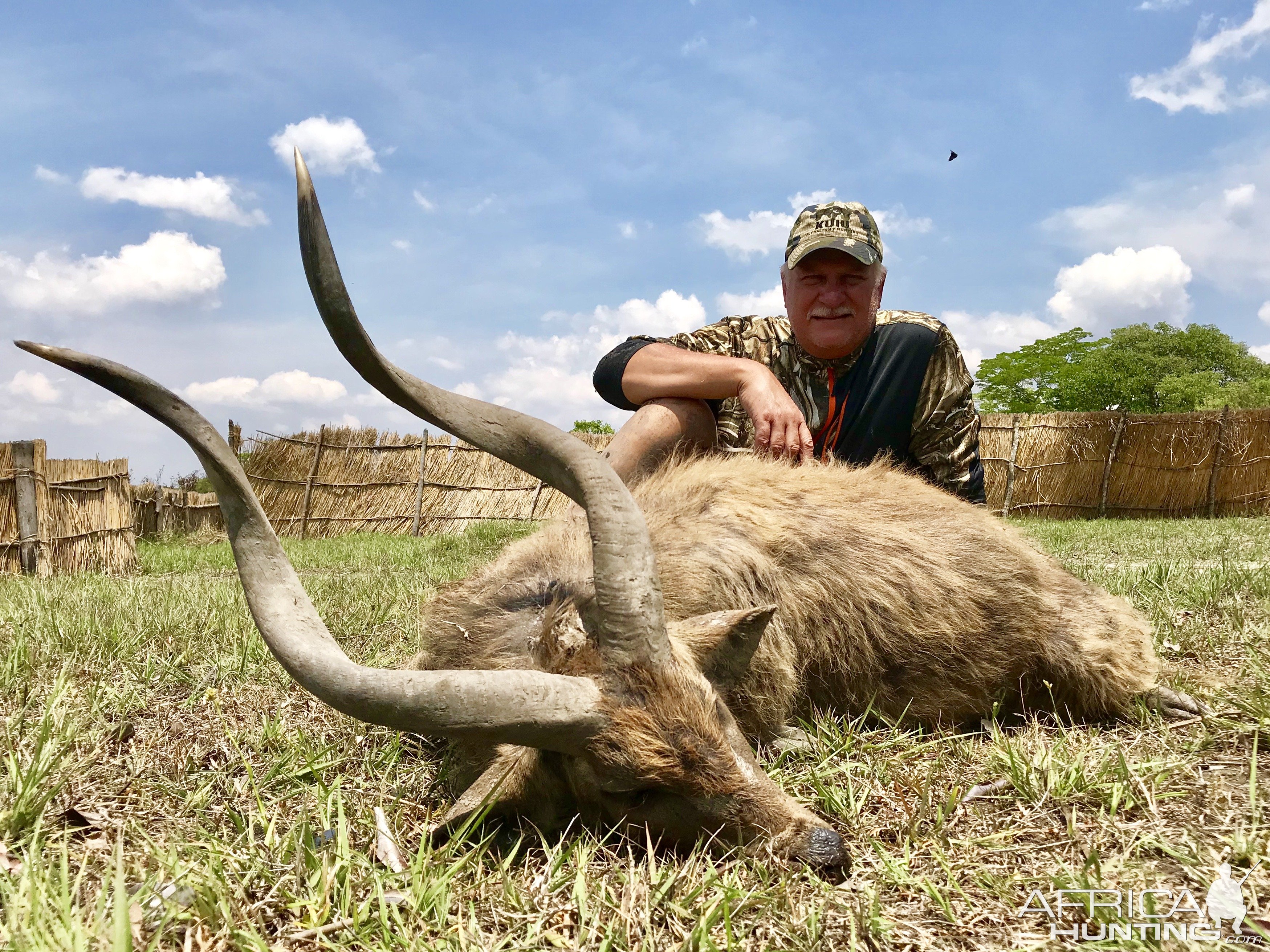 Sitatunga Hunting Zambia