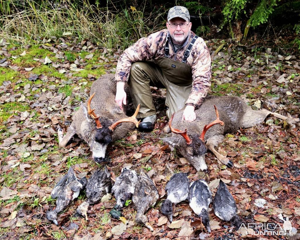 Sitka Blacktail Deer & Ducks Hunt Prince of Wales